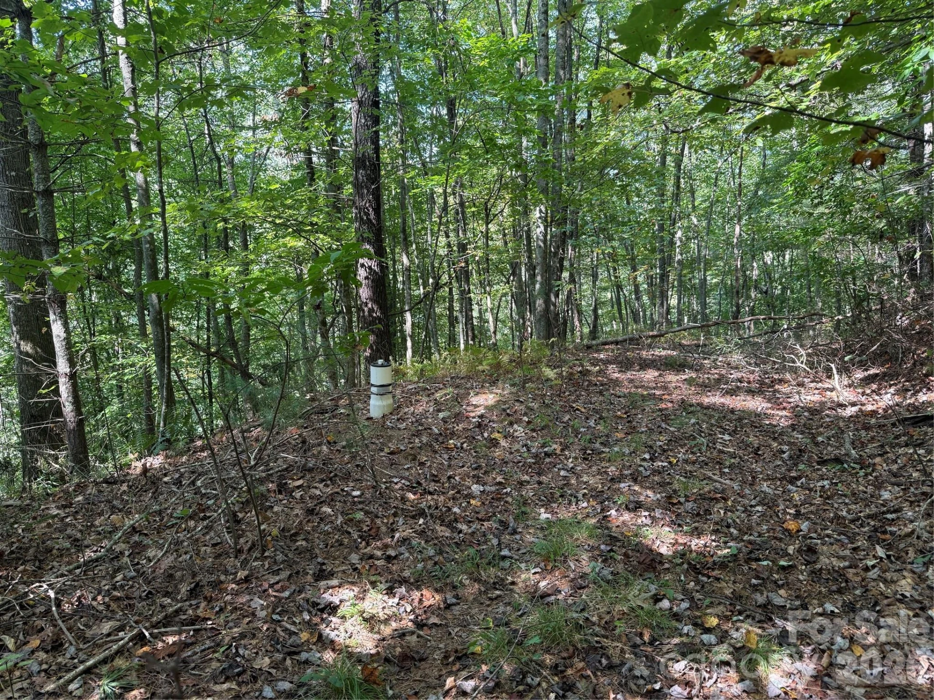 000 Bobcat Road - Photo 8