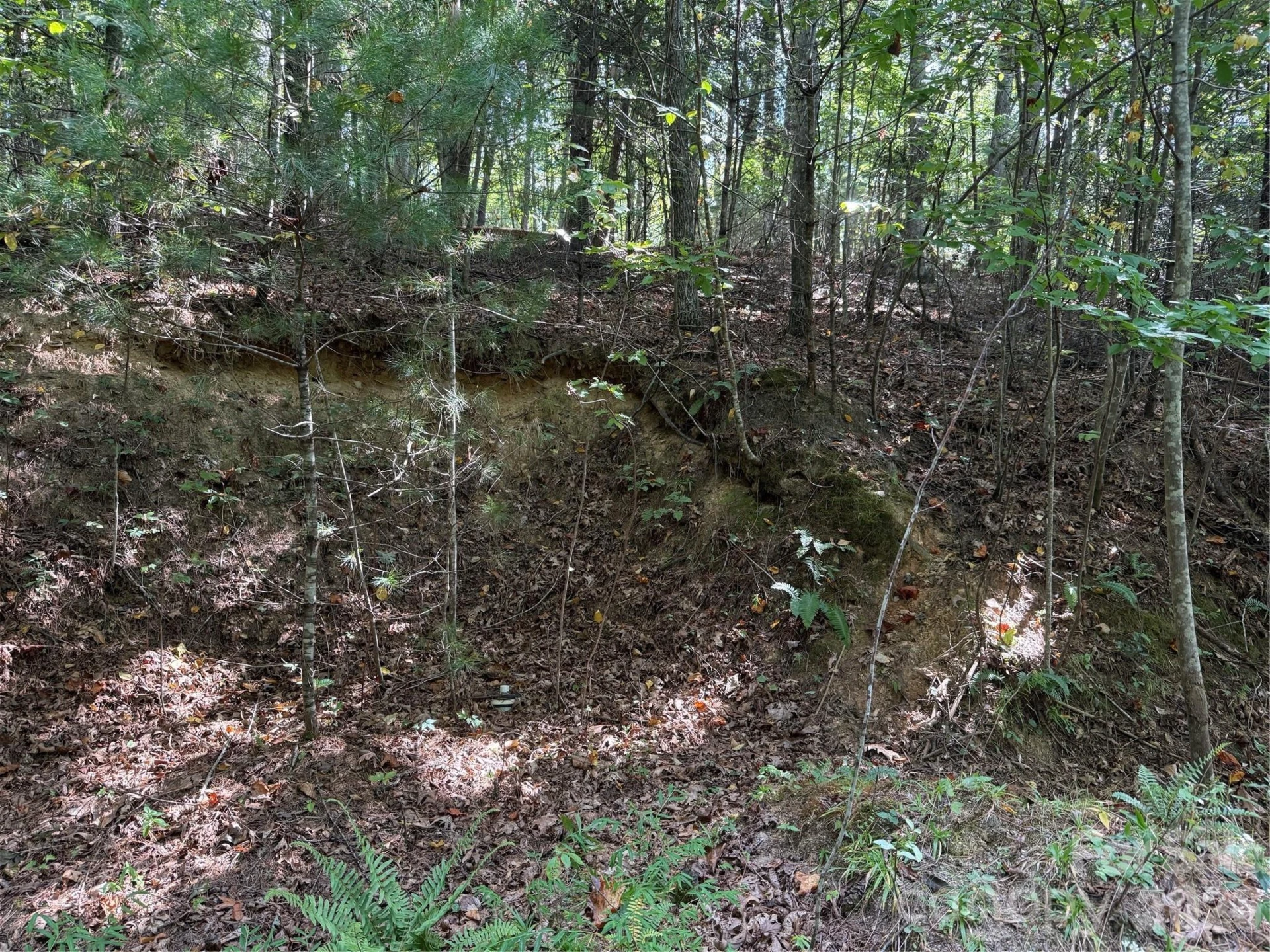 000 Bobcat Road - Photo 11