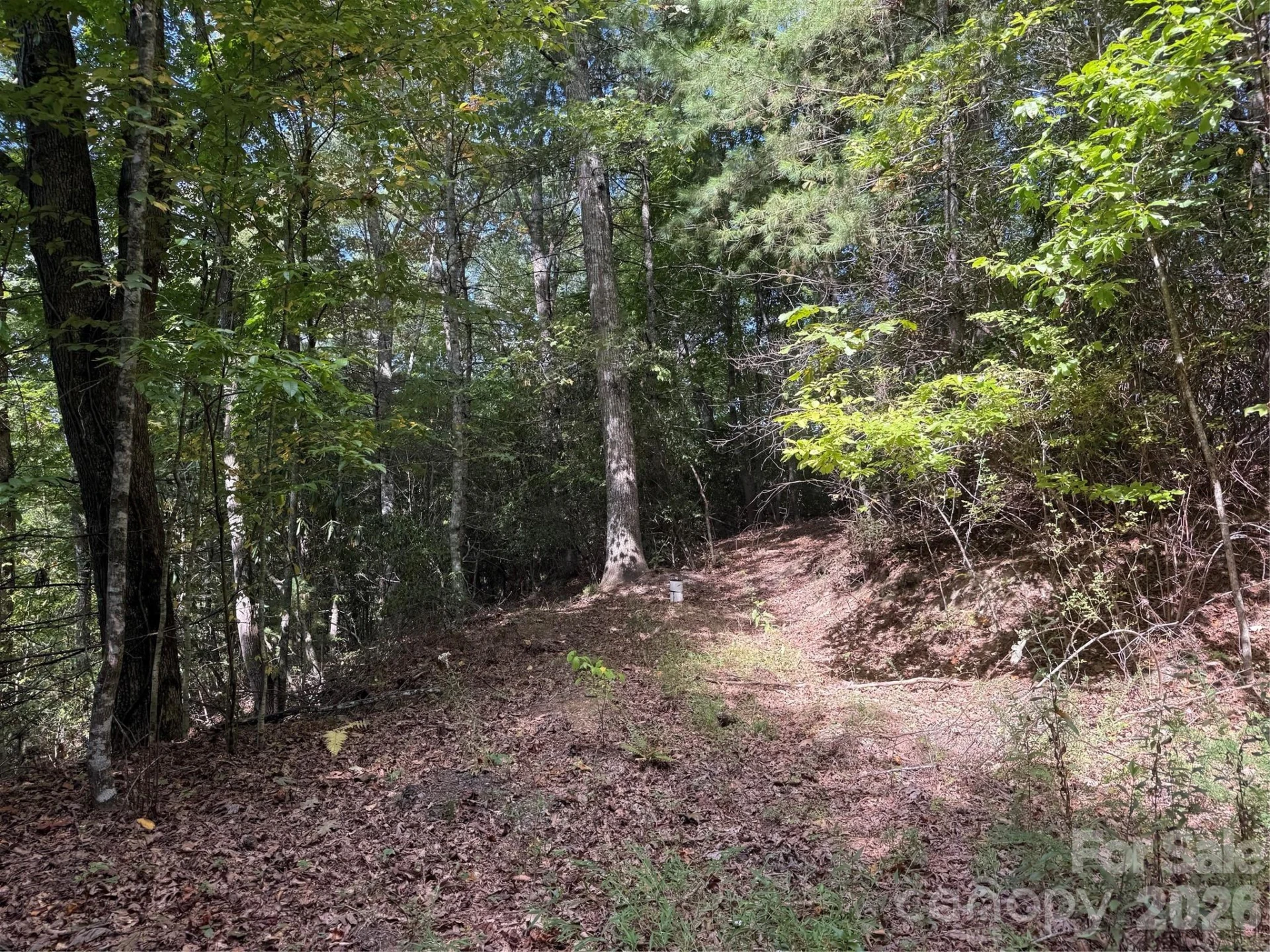 000 Bobcat Road - Photo 12