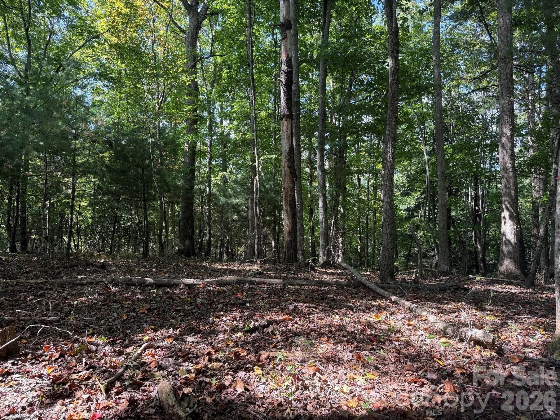 000 Bobcat Road - Photo 14