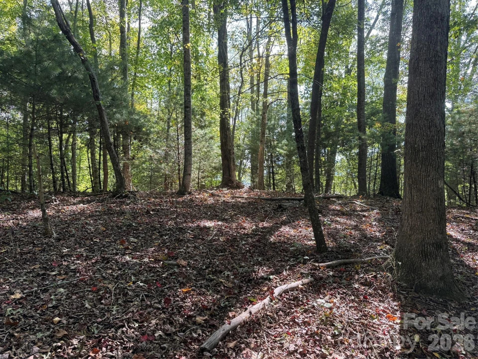 000 Bobcat Road - Photo 15