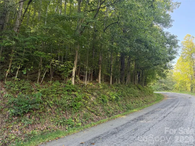 000A Bobcat Road, Waynesville, NC, 28785
