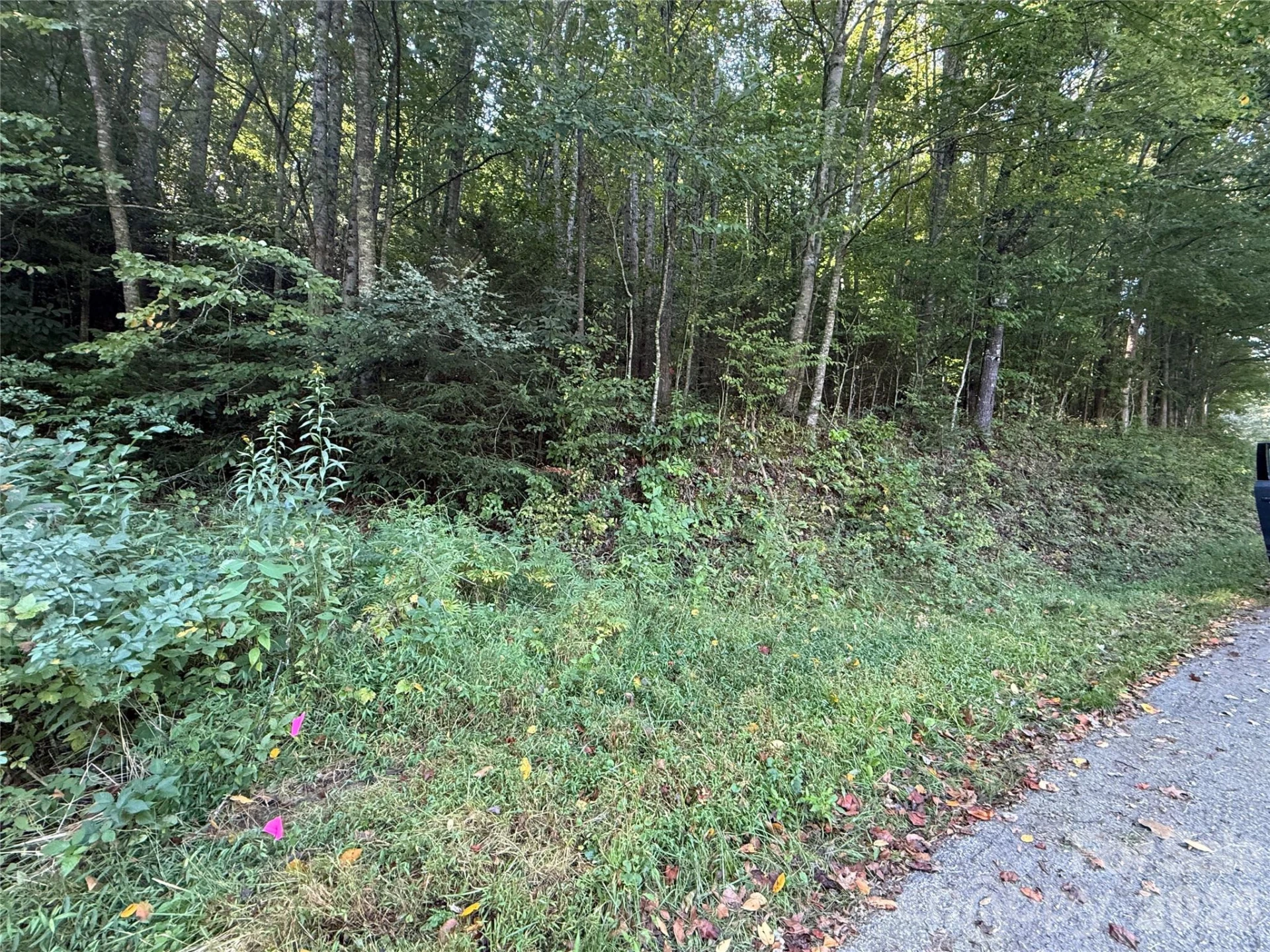 000A Bobcat Road - Photo 2