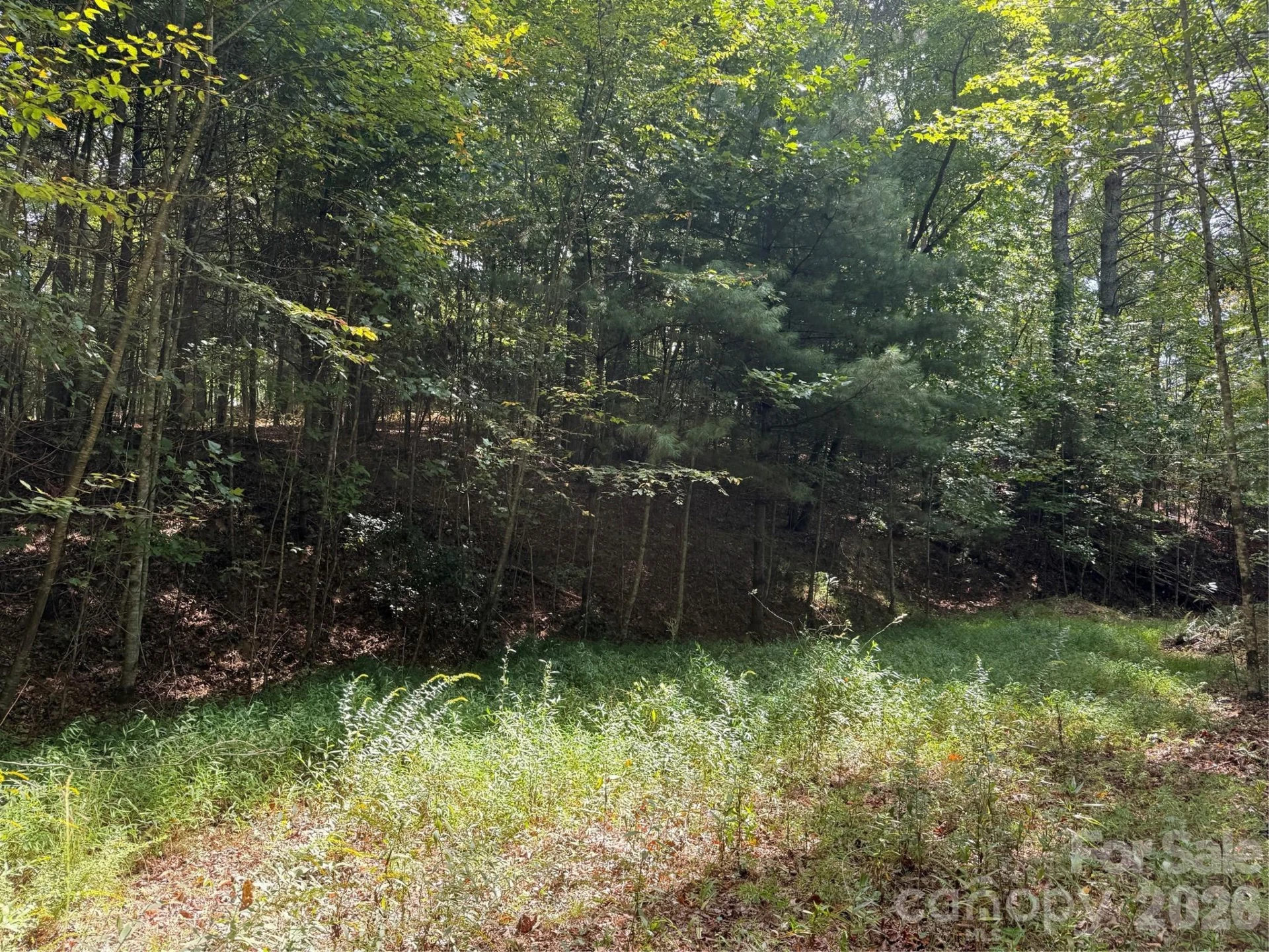 000A Rosalie Lane #19 - Photo 5