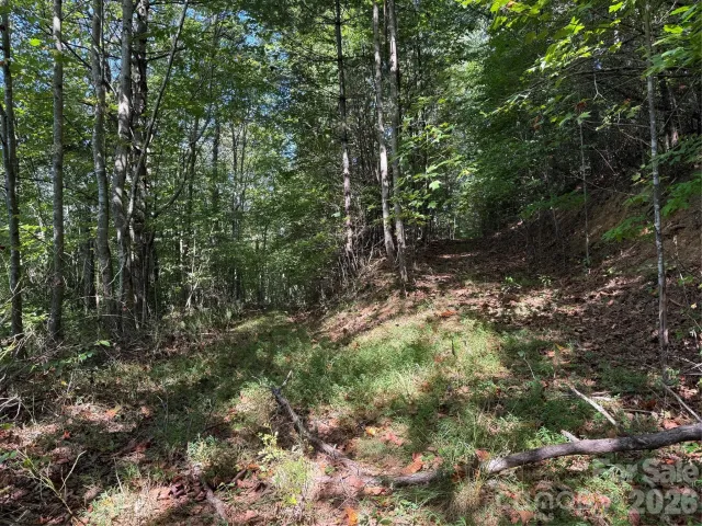 000B Rosalie Lane, Waynesville, NC, 28785