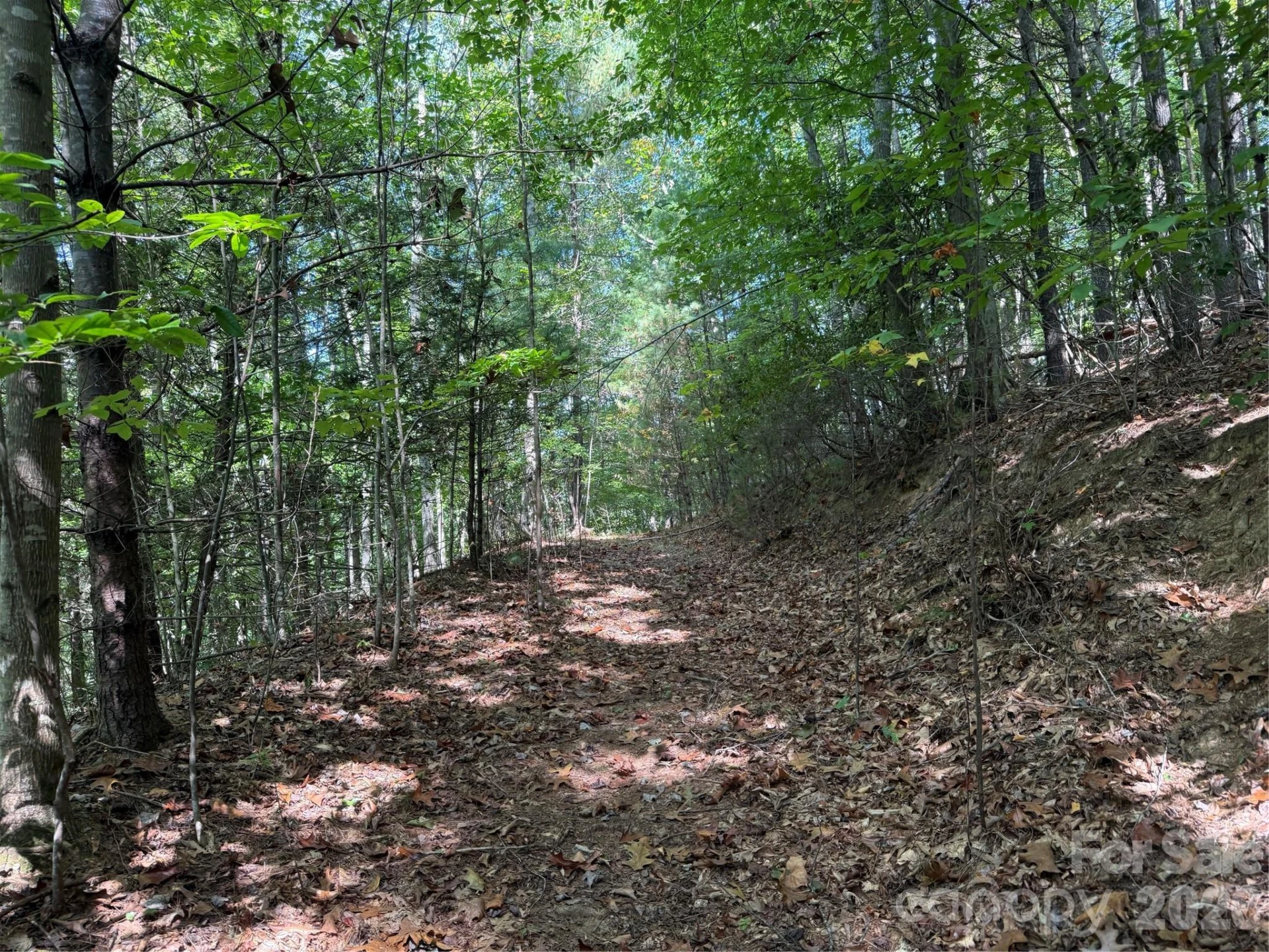 000B Rosalie Lane #20 - Photo 2