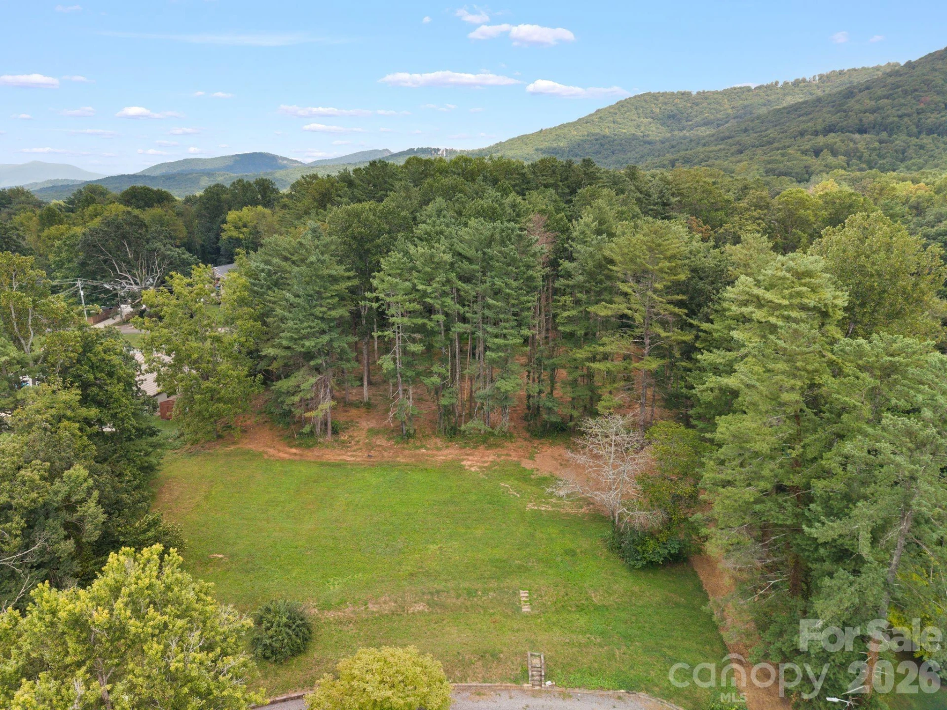 1456 Sweeten Creek Road - Photo 4