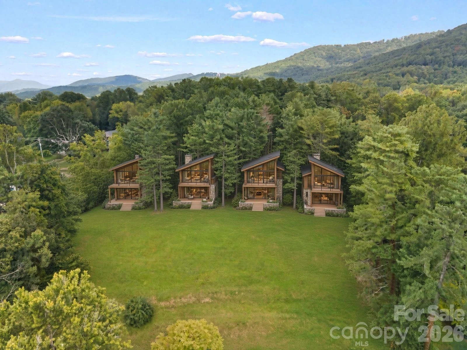 1456 Sweeten Creek Road - Photo 5