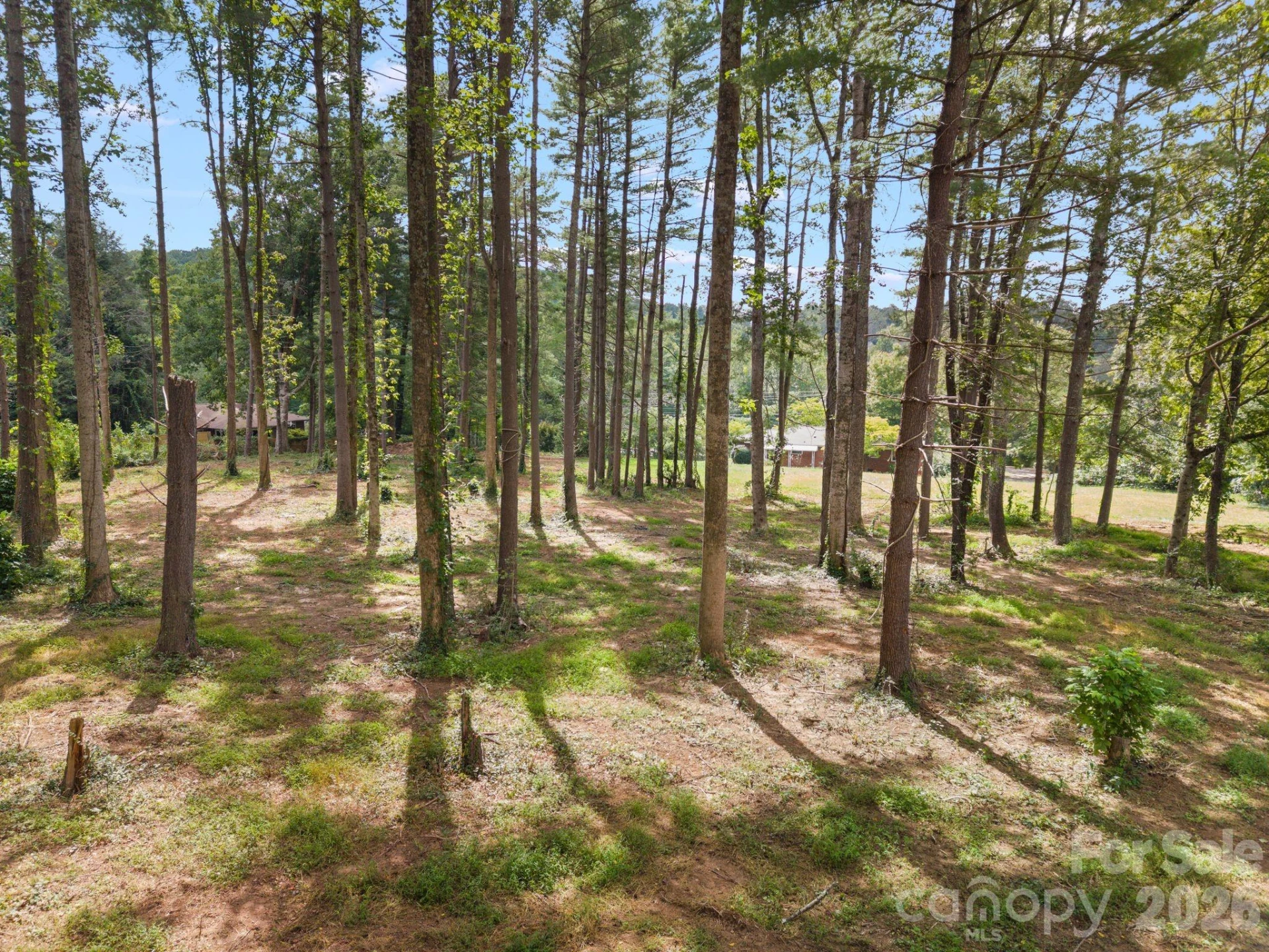 1456 Sweeten Creek Road - Photo 8