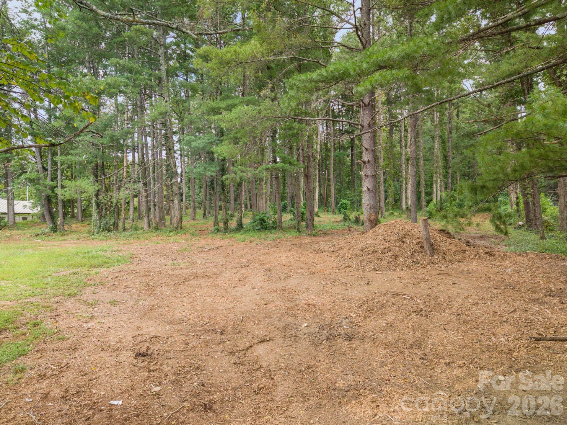 1452 Sweeten Creek Road - Photo 39