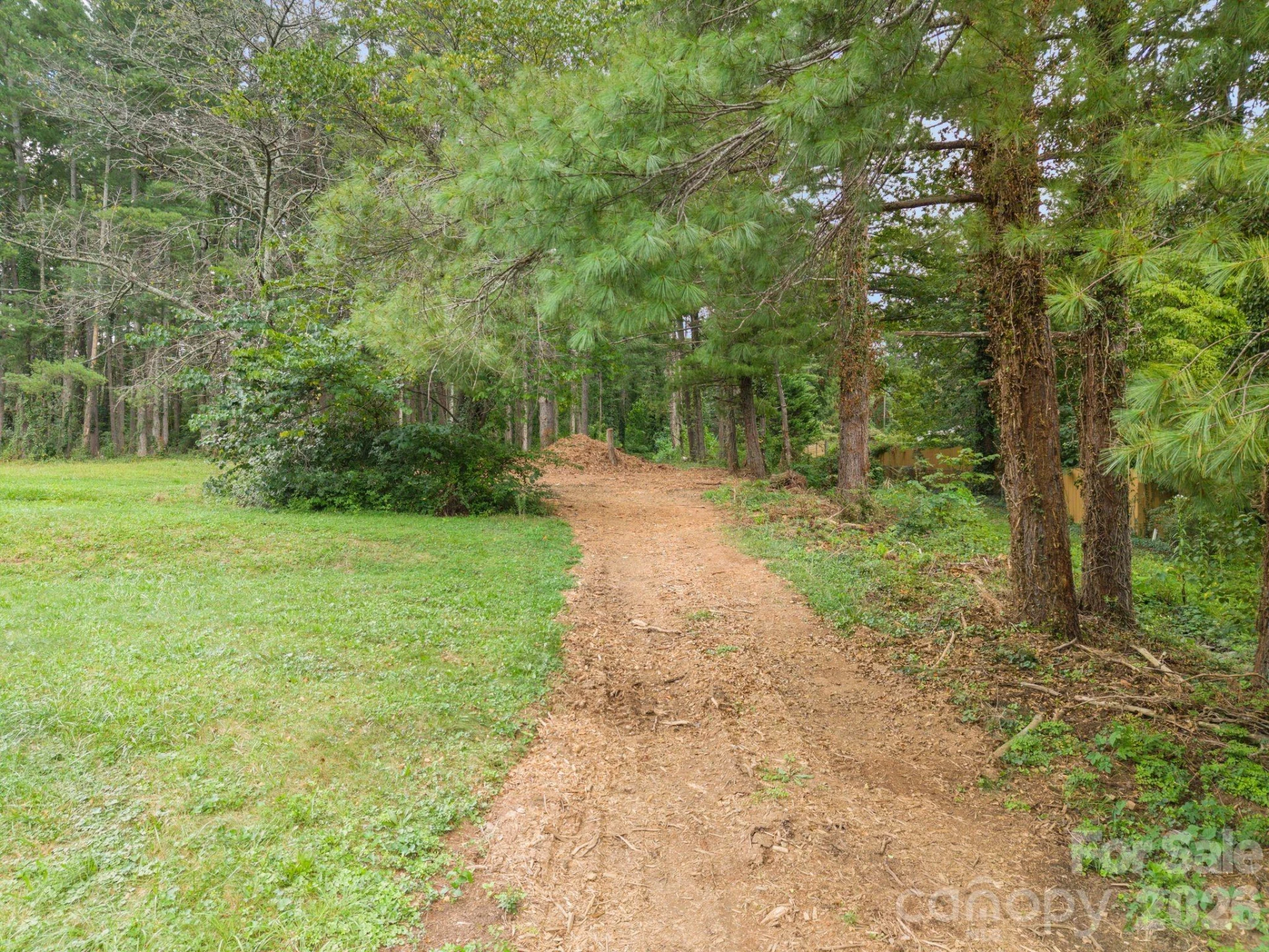 1452 Sweeten Creek Road - Photo 40