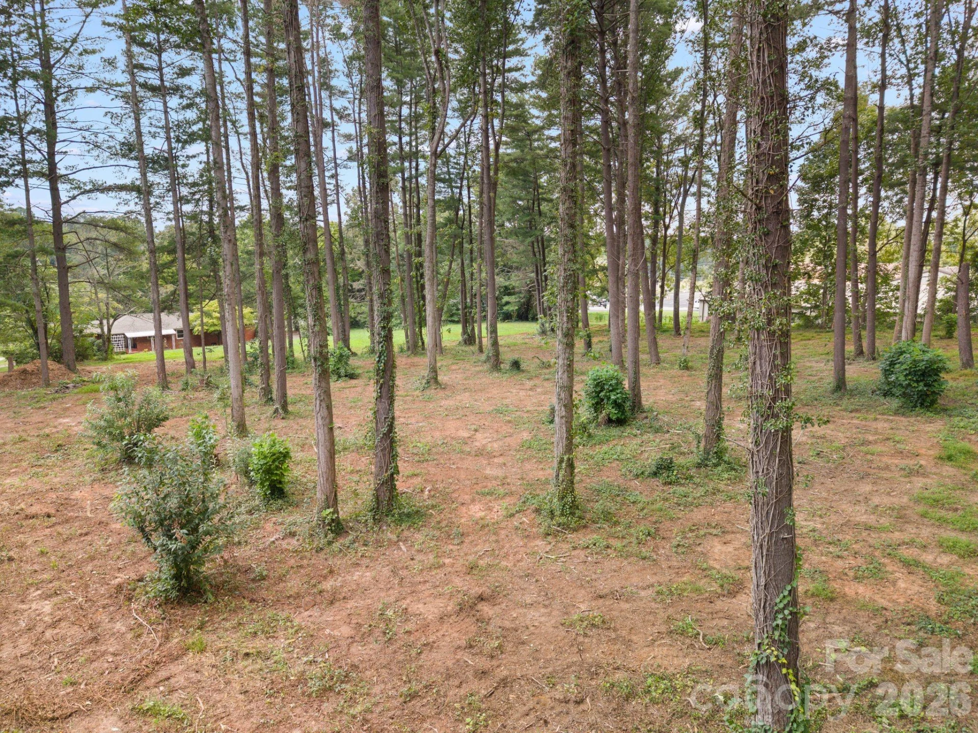 1452 Sweeten Creek Road - Photo 41