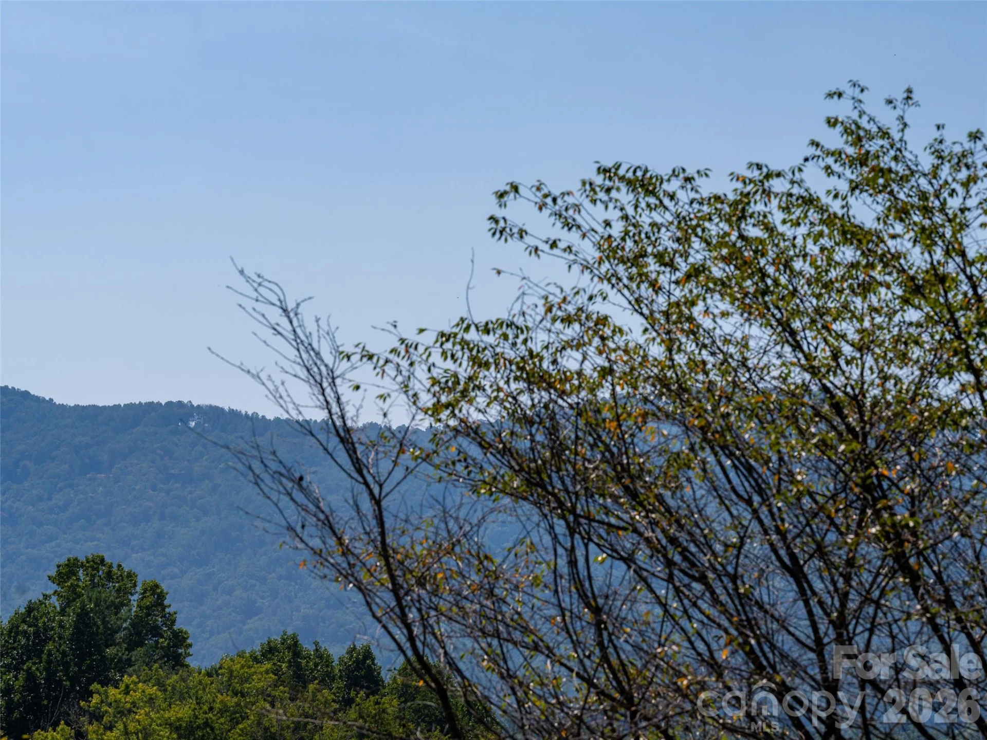 151 W Newberry Drive - Photo 26