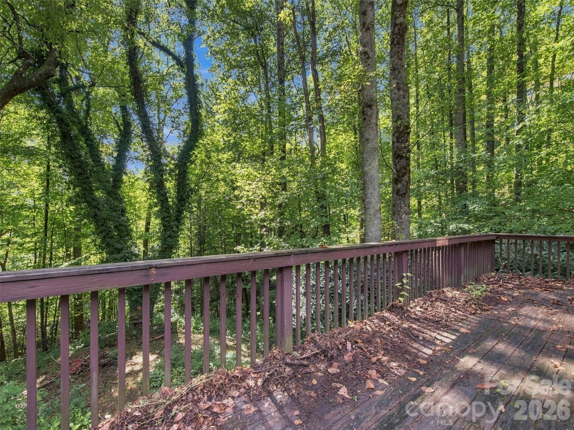 151 Tiger Lily Lane - Photo 7