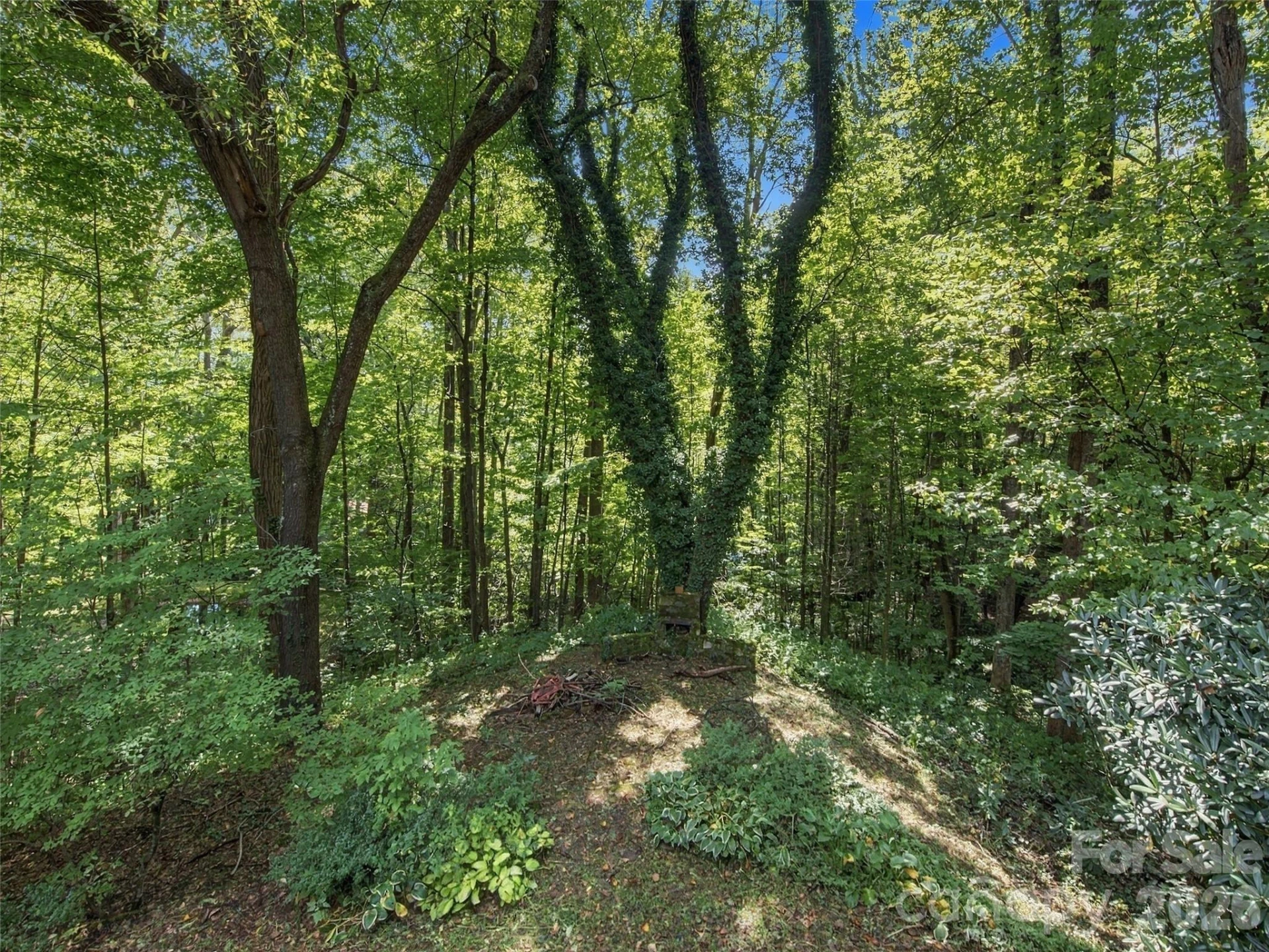 151 Tiger Lily Lane - Photo 8