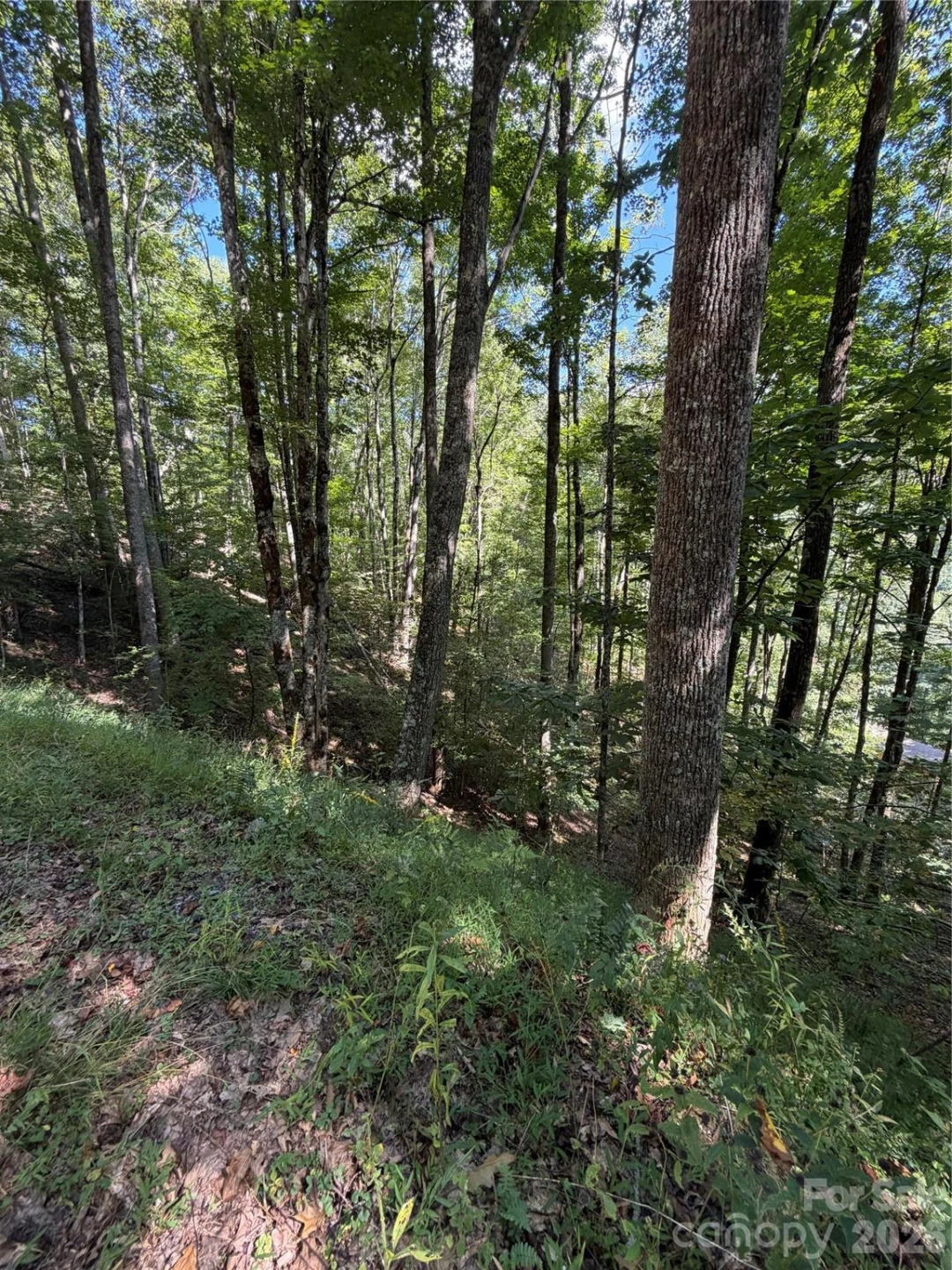 38 Gardenside Lane - Photo 3