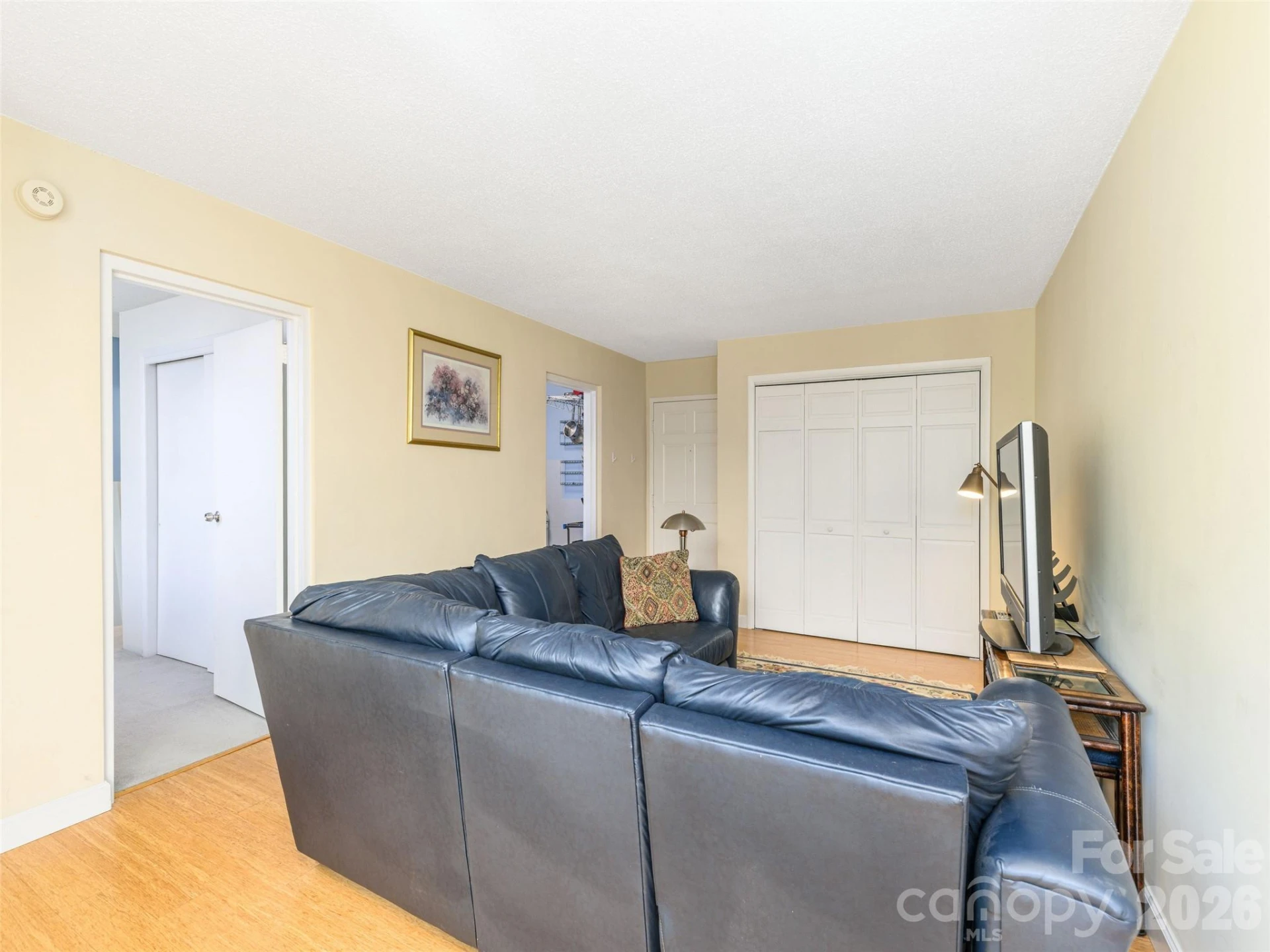 647 Town Mountain Road #307 - Photo 8