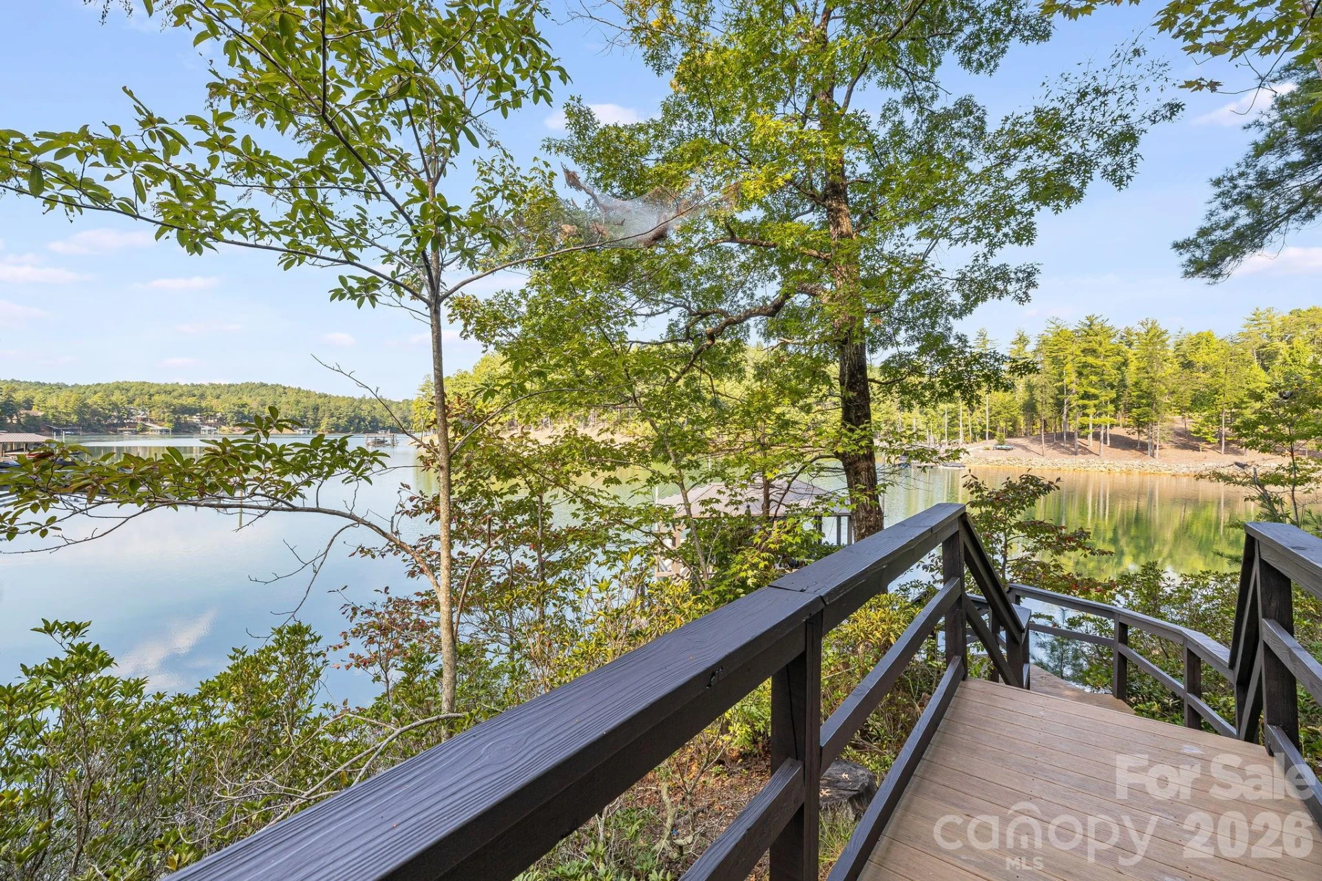 1264 Ten Whigs Ridge - Photo 31
