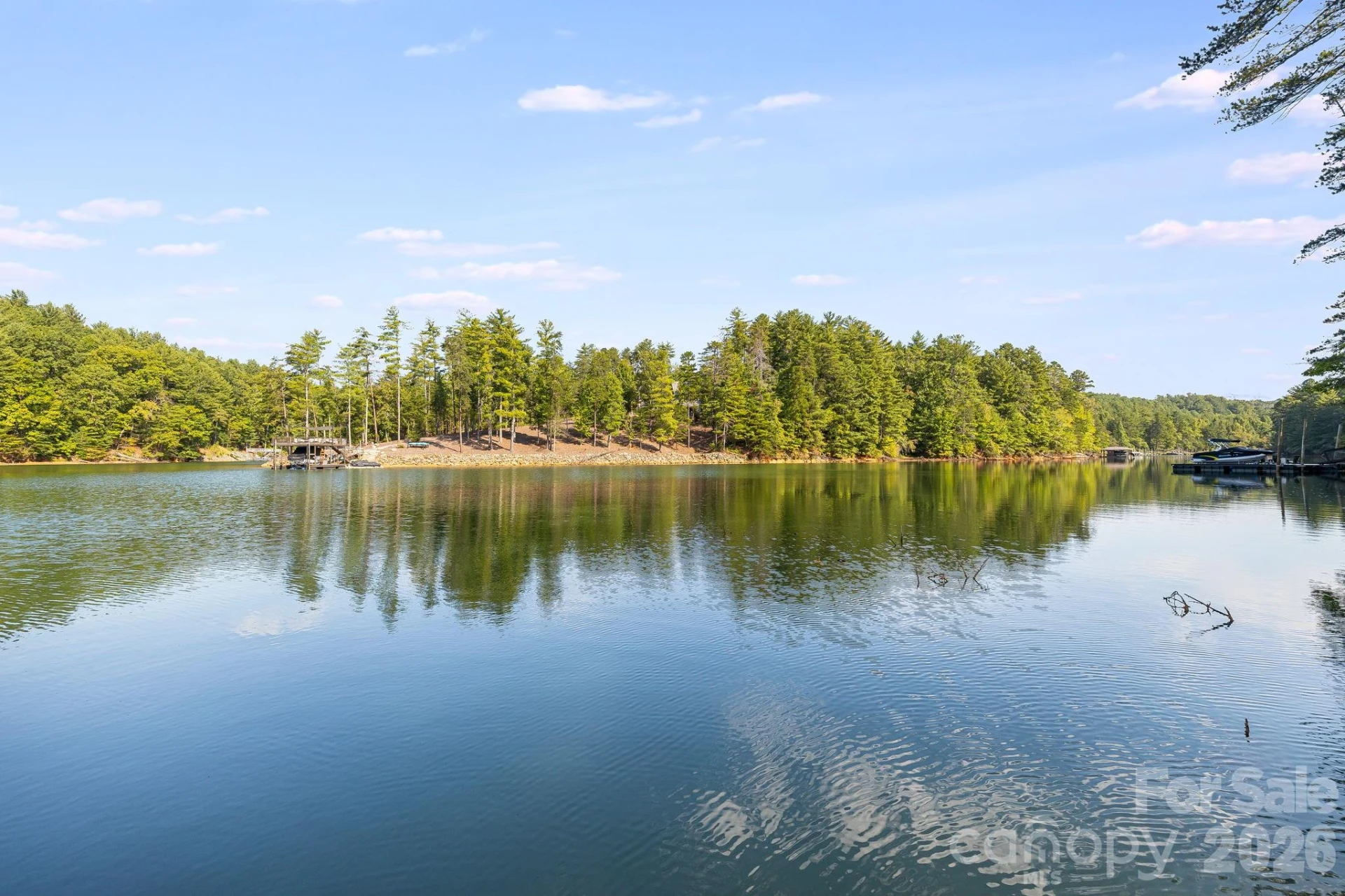 1264 Ten Whigs Ridge - Photo 40