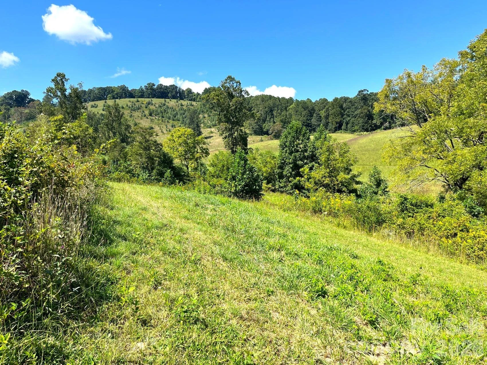 00 Don Felmet Road - Photo 8