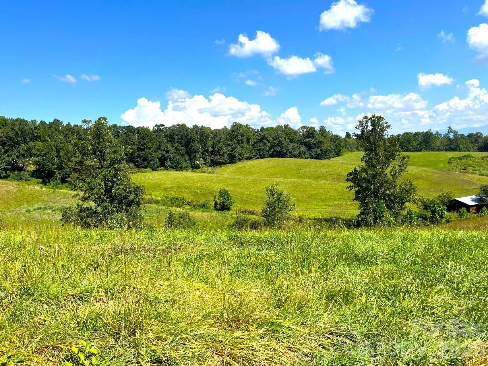 00 Don Felmet Road - Photo 10
