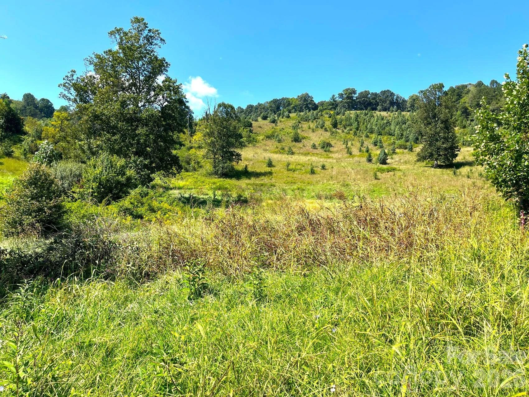 00 Don Felmet Road - Photo 11