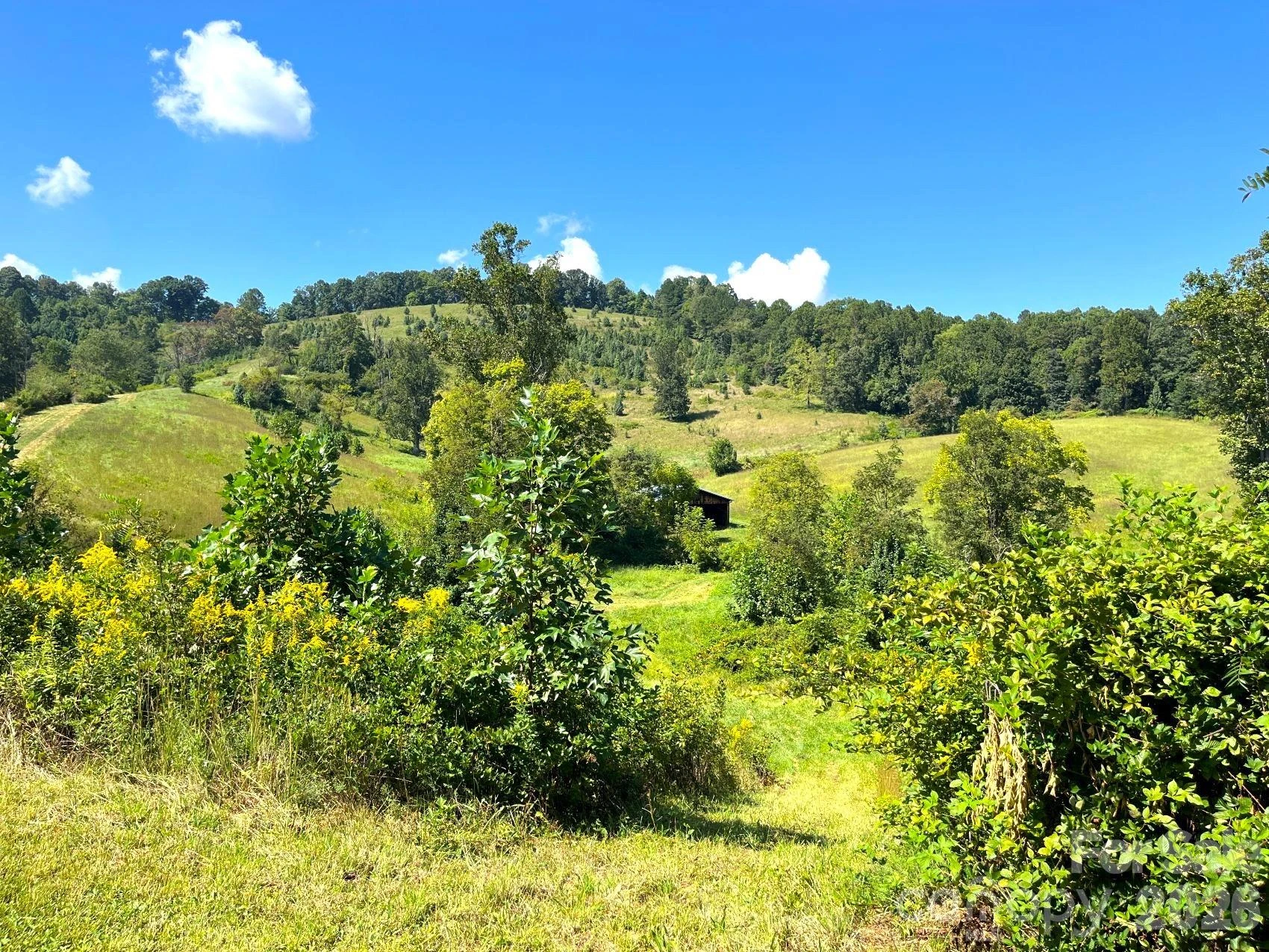 00 Don Felmet Road - Photo 12