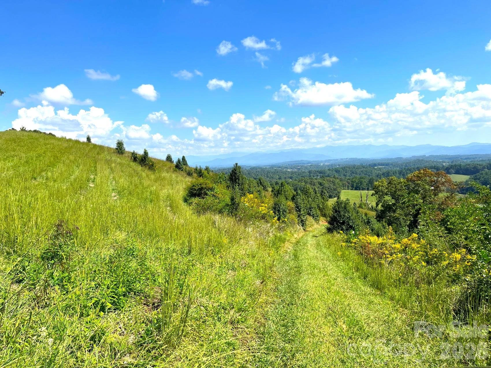 00 Don Felmet Road - Photo 13