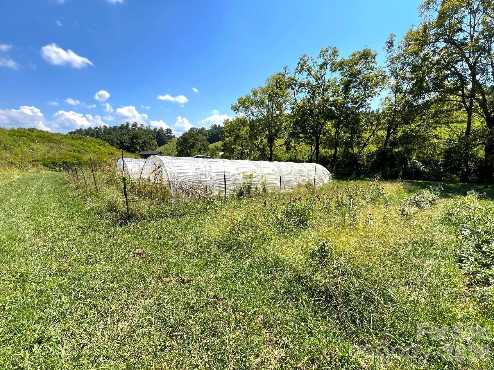 00 Don Felmet Road - Photo 14