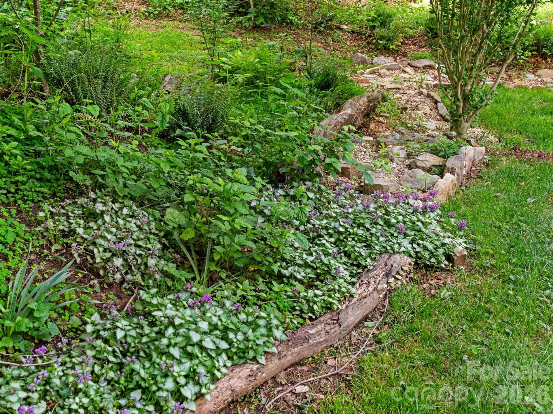 15 Baird Alley - Photo 7