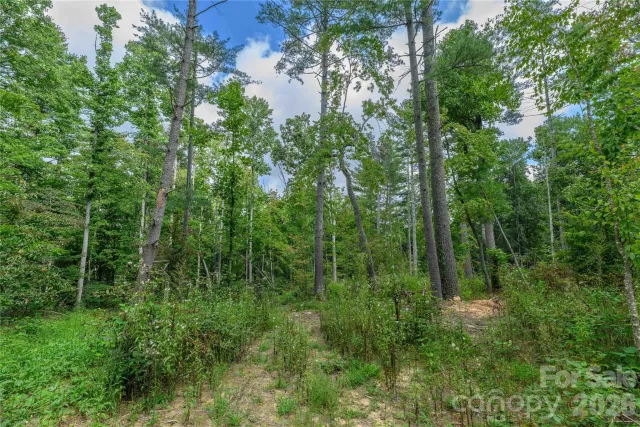 9999 Old Concord Road, Fletcher, NC, 28732