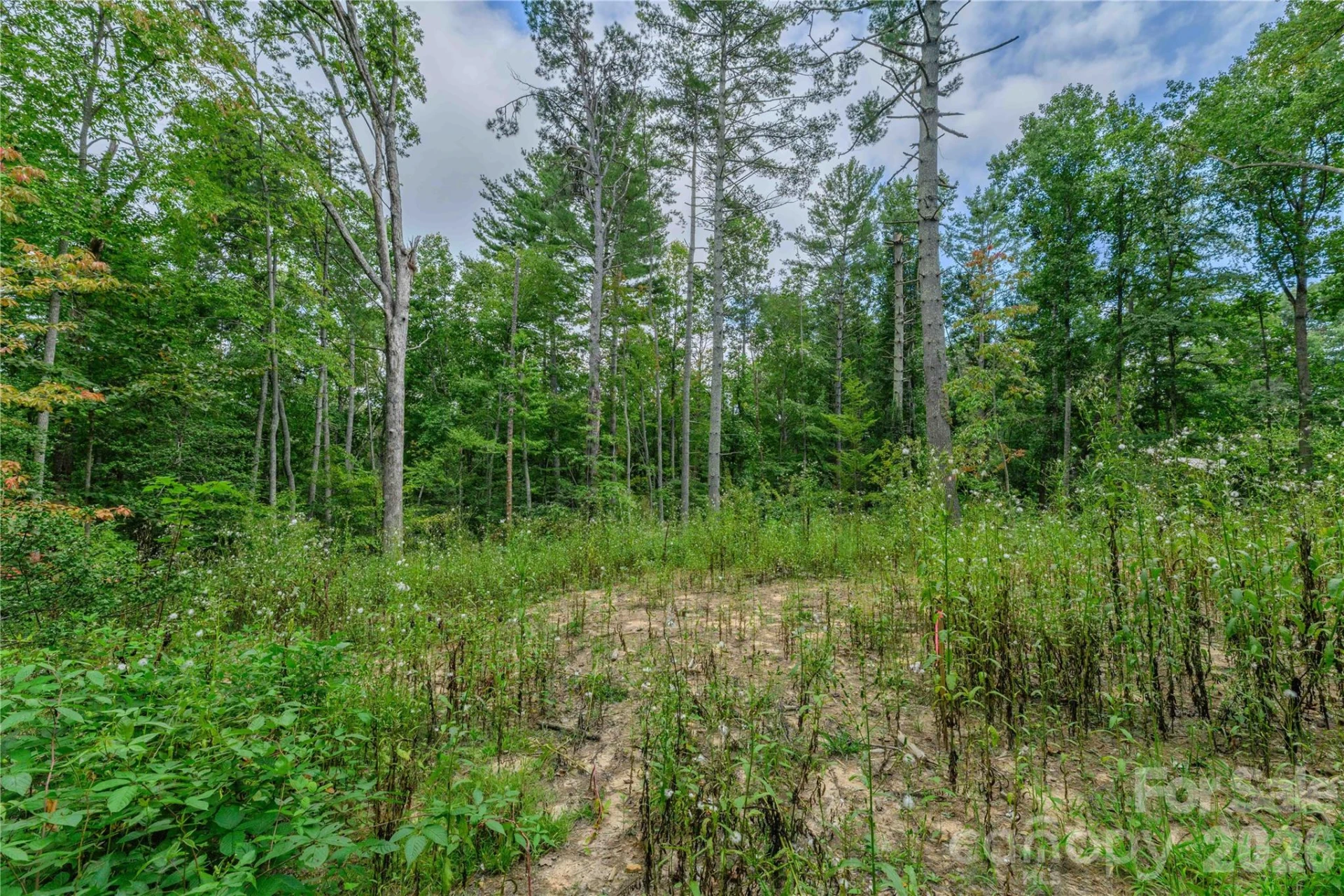 9999 Old Concord Road #3 - Photo 2