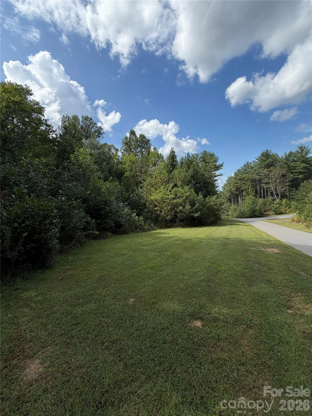 18 Mountain Magnolia Drive - Photo 11