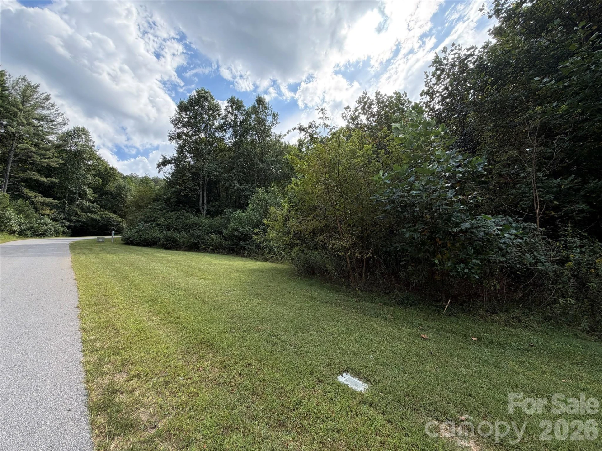 18 Mountain Magnolia Drive - Photo 12