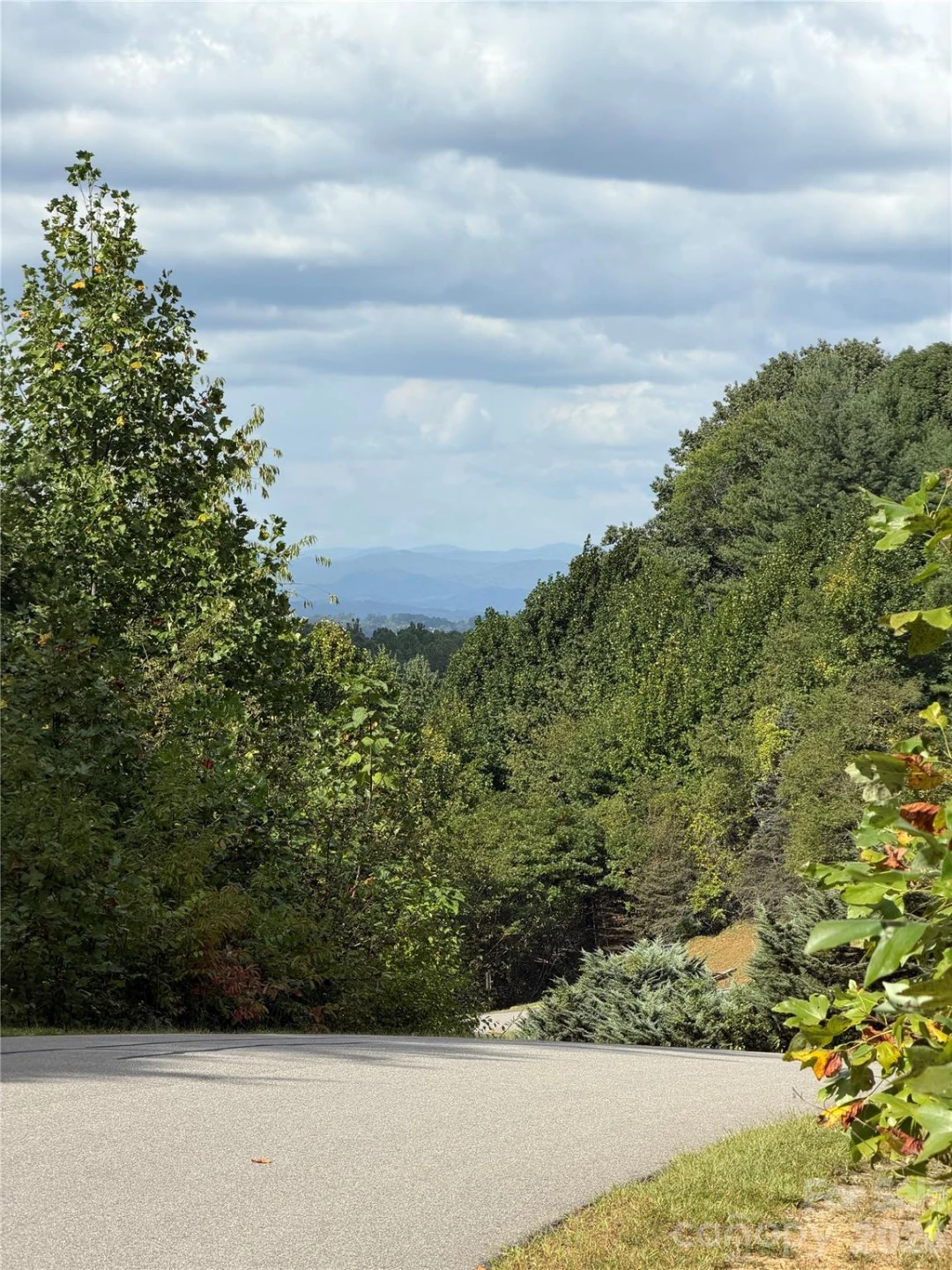 18 Mountain Magnolia Drive - Photo 13