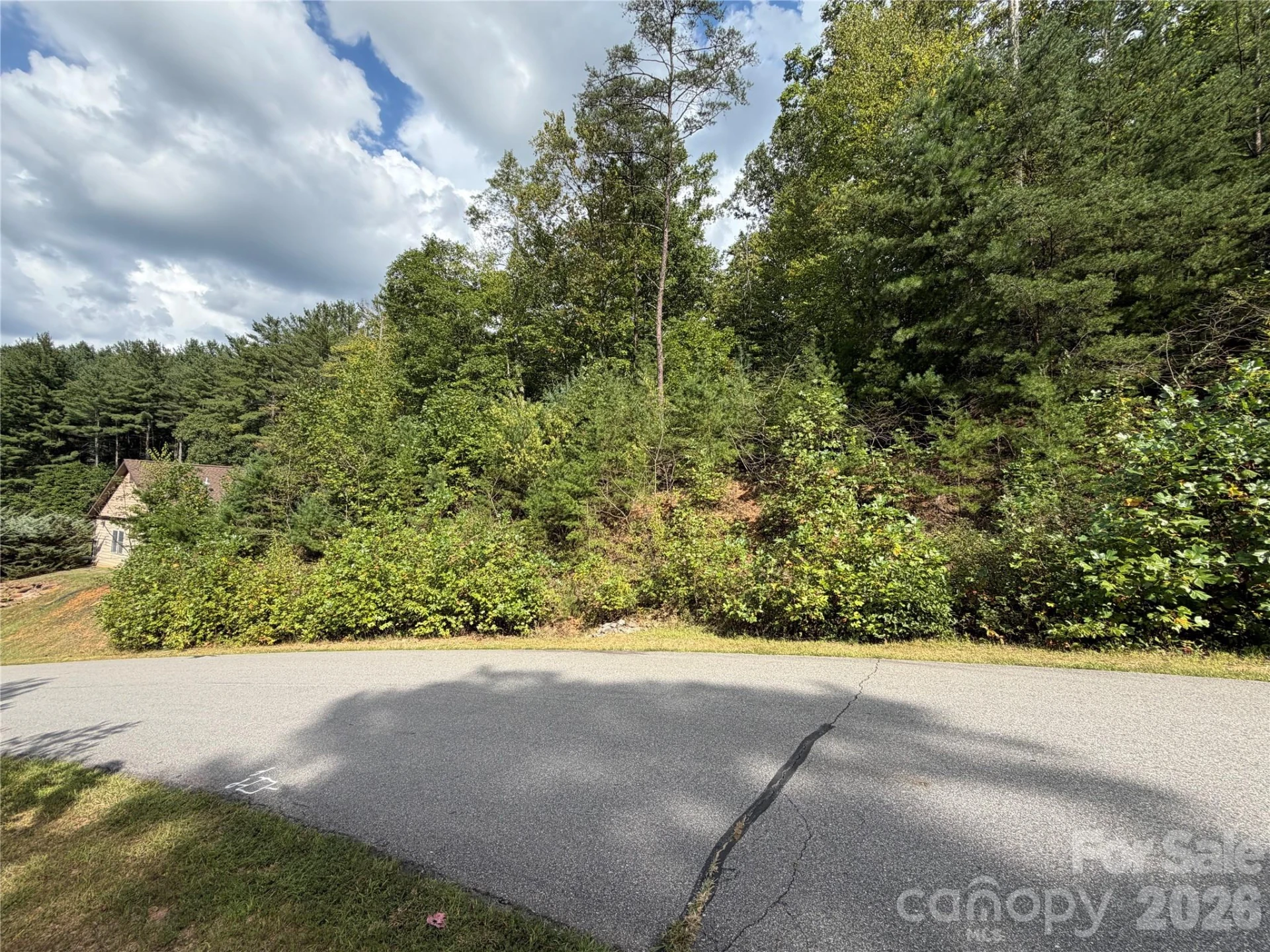 18 Mountain Magnolia Drive - Photo 16