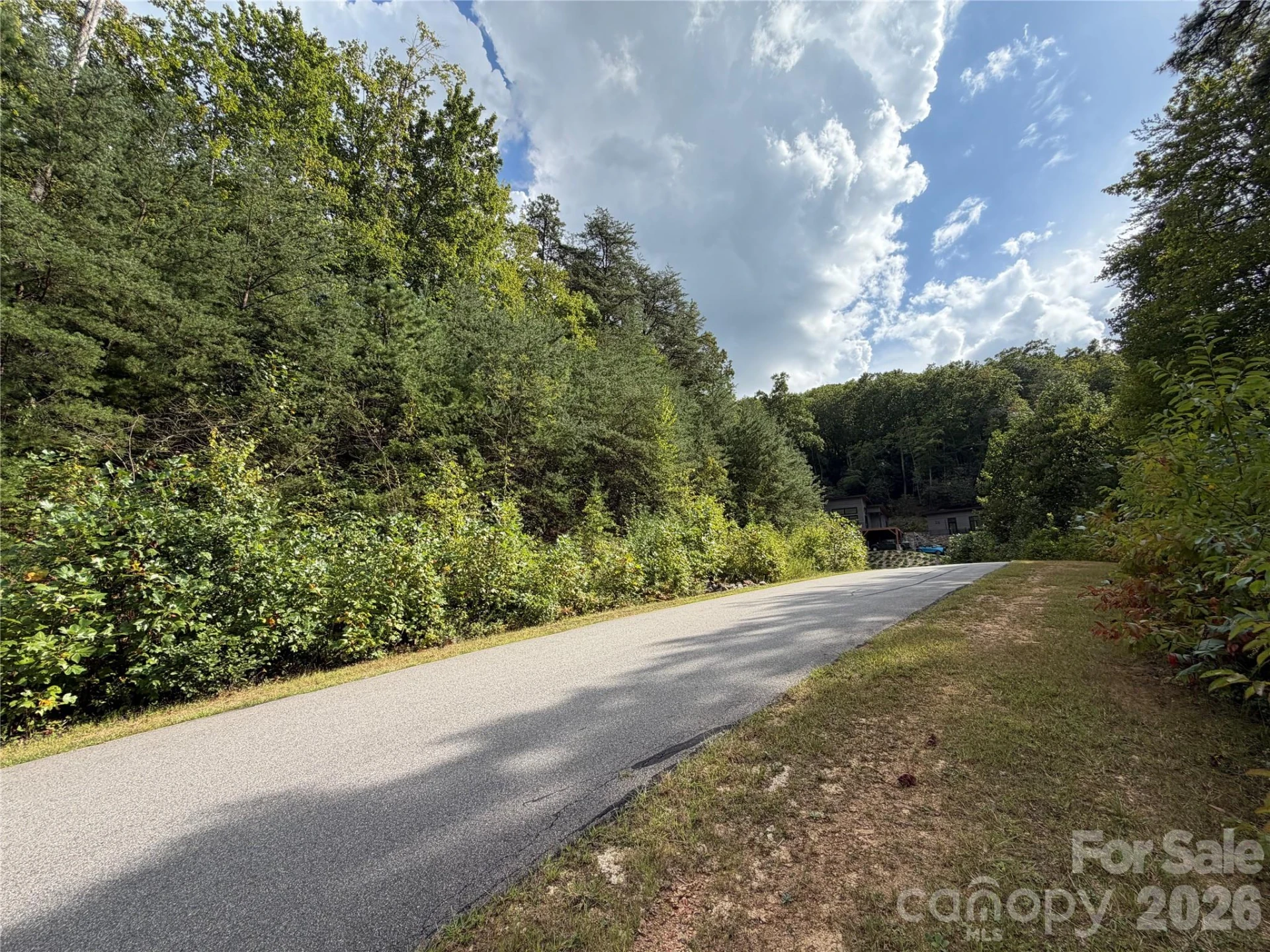 18 Mountain Magnolia Drive - Photo 17
