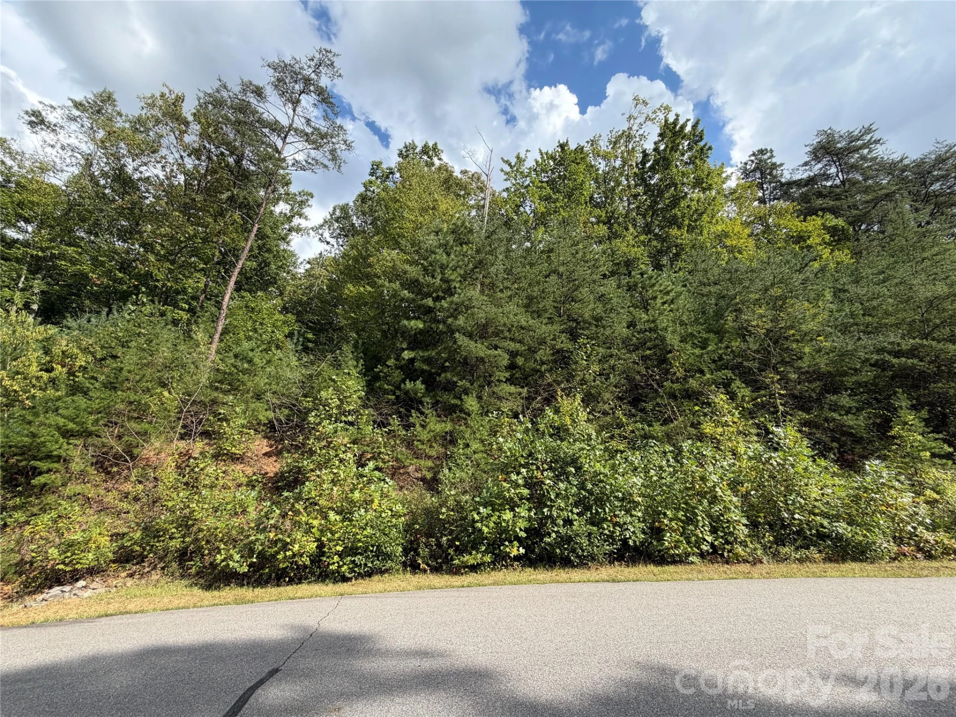 18 Mountain Magnolia Drive - Photo 18