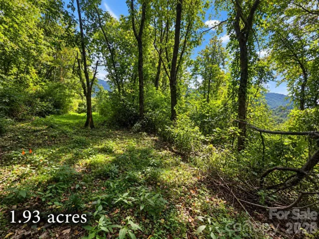 81 Dove Crest Lane, Waynesville, NC, 28786