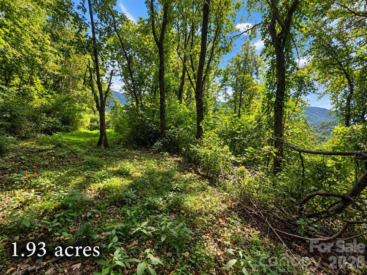 81 Dove Crest Lane #18 & 33