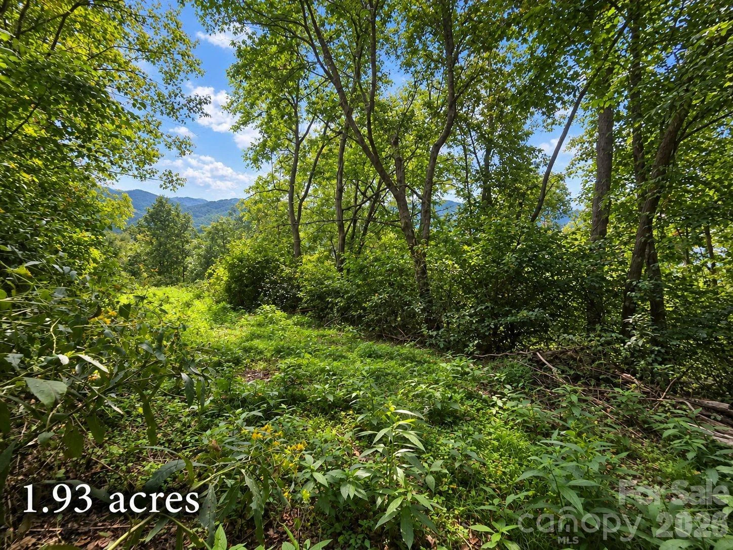 81 Dove Crest Lane #18 & 33 - Photo 5