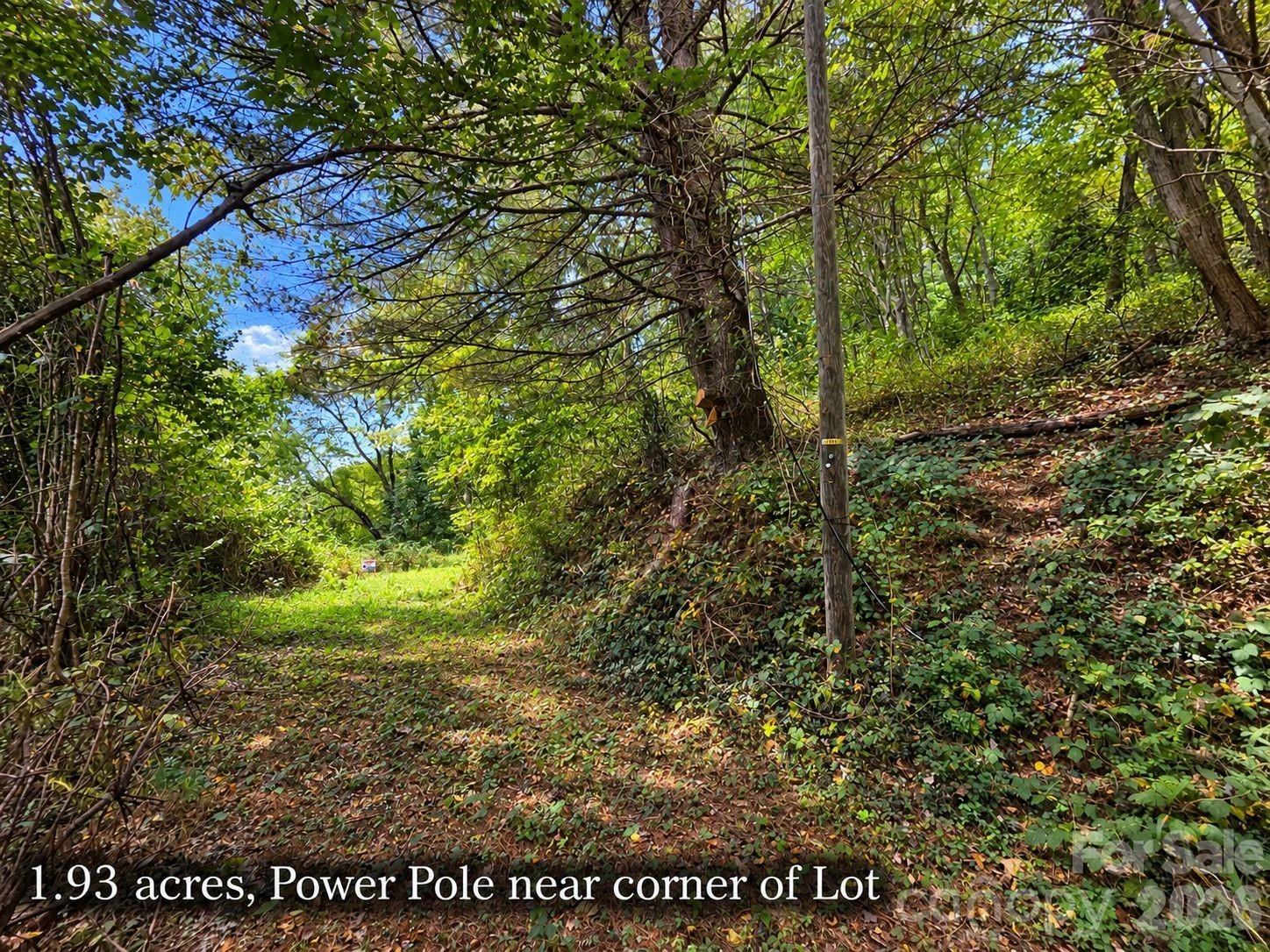 81 Dove Crest Lane #18 & 33 - Photo 7