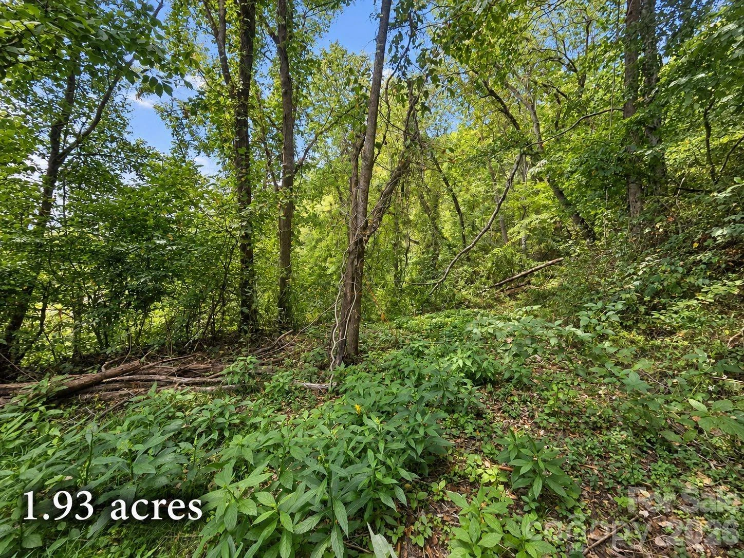 81 Dove Crest Lane #18 & 33 - Photo 14