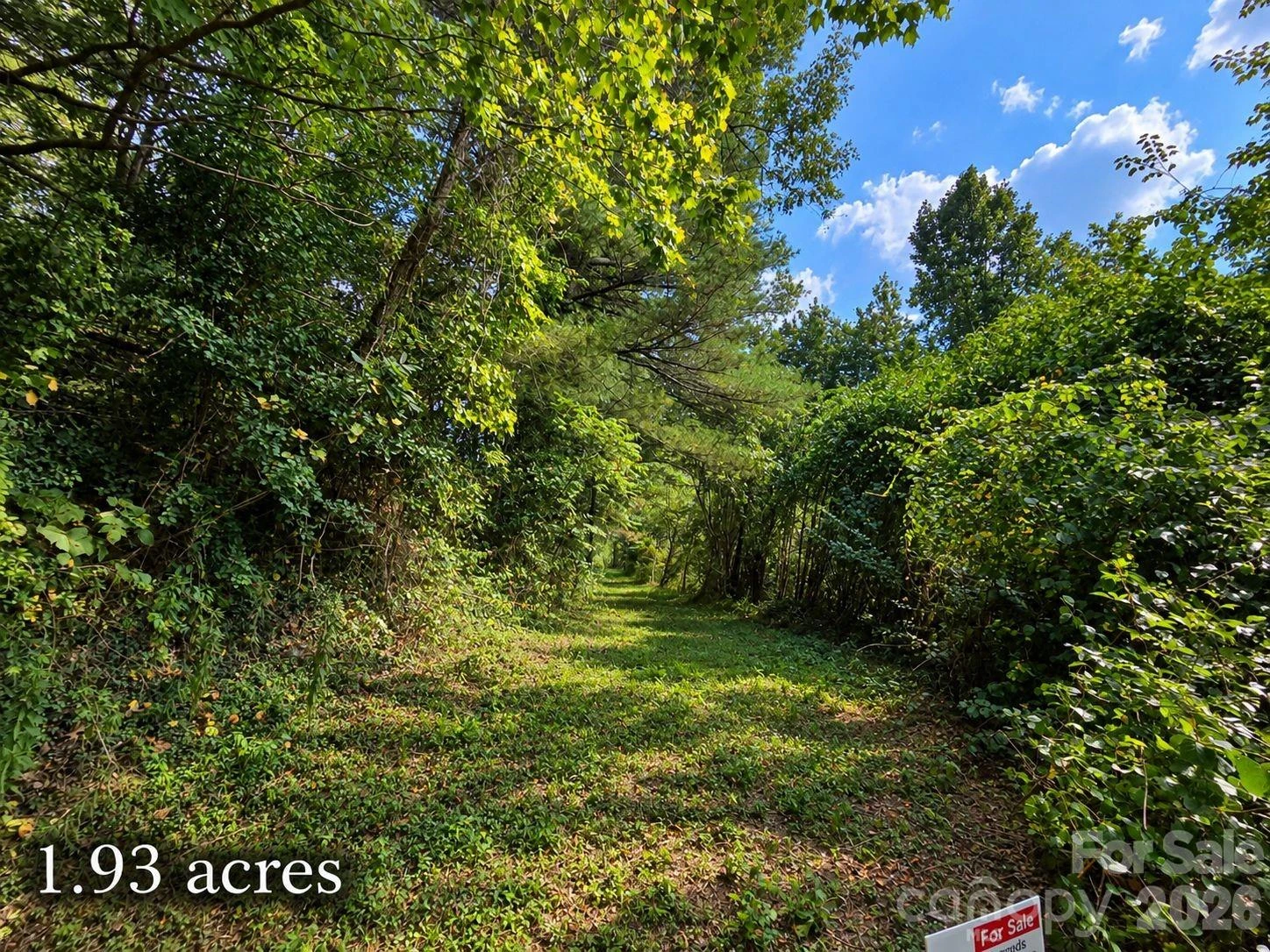 81 Dove Crest Lane #18 & 33 - Photo 20