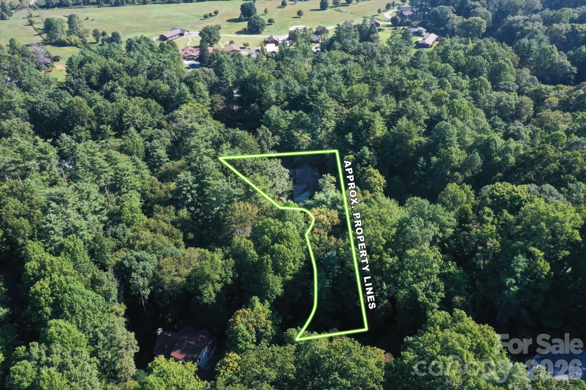 300 Caroline Lane - Photo 41