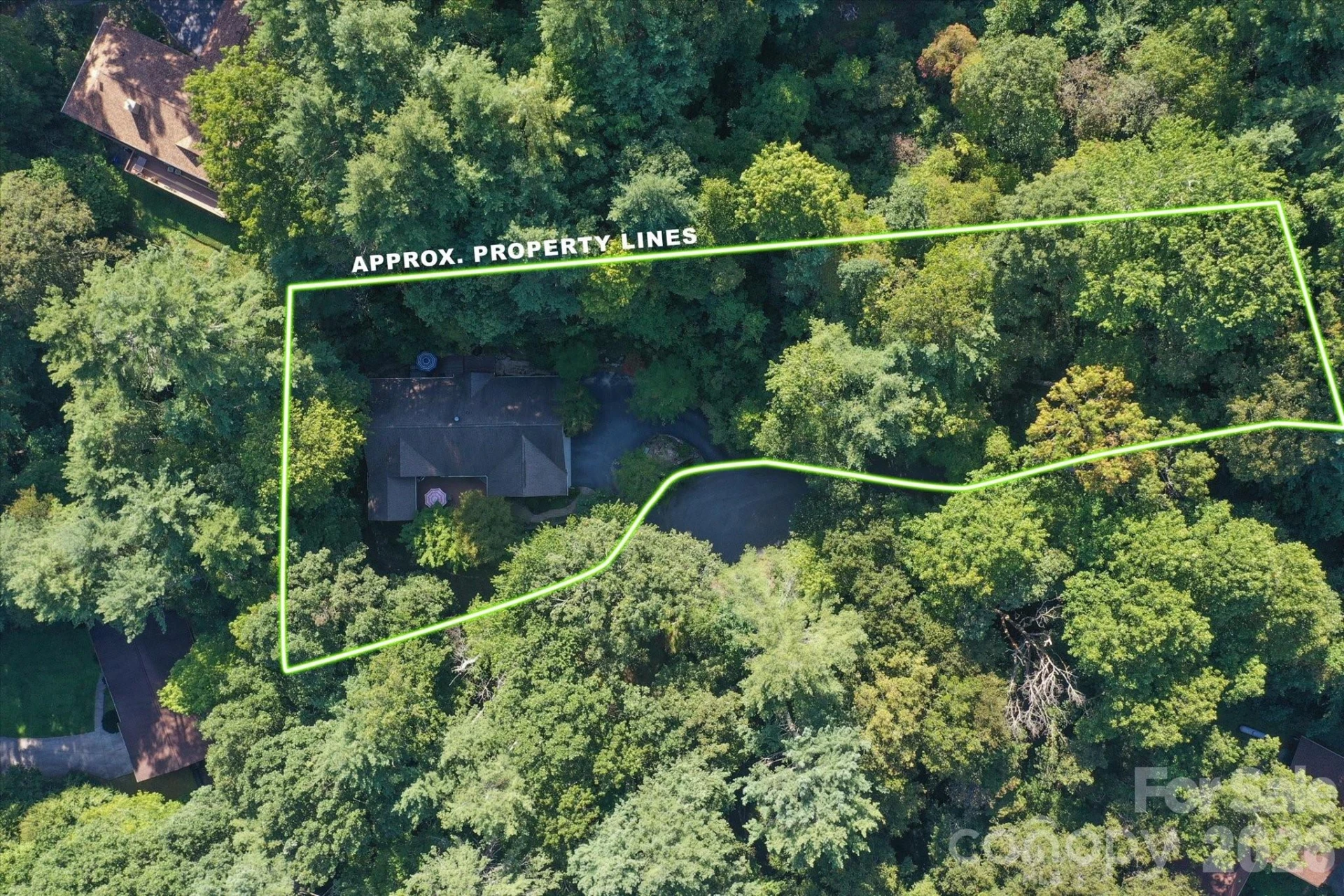 300 Caroline Lane - Photo 42
