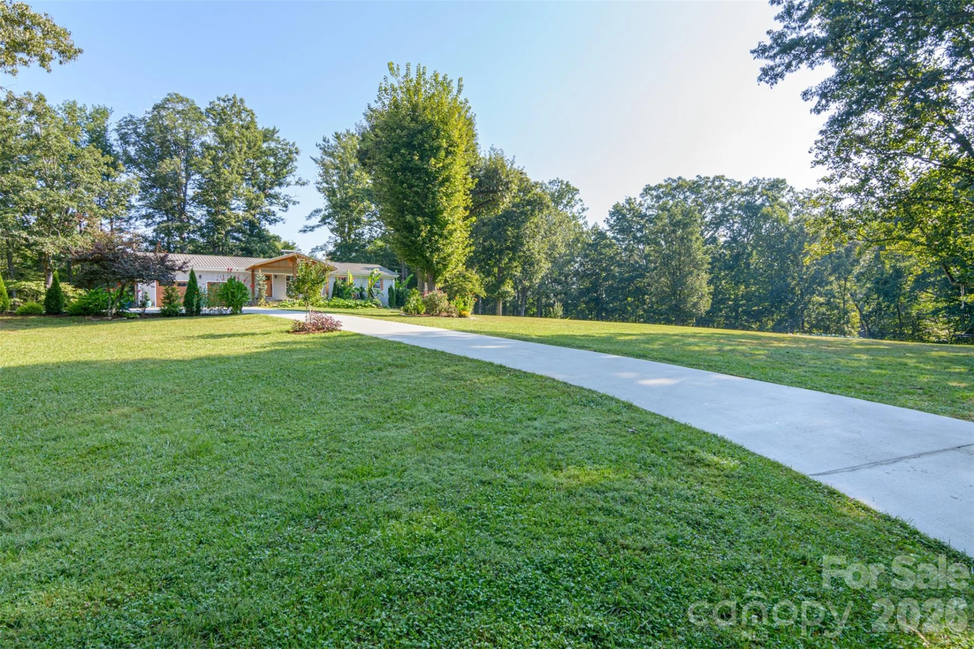 609 Old Mars Hill Highway - Photo 2