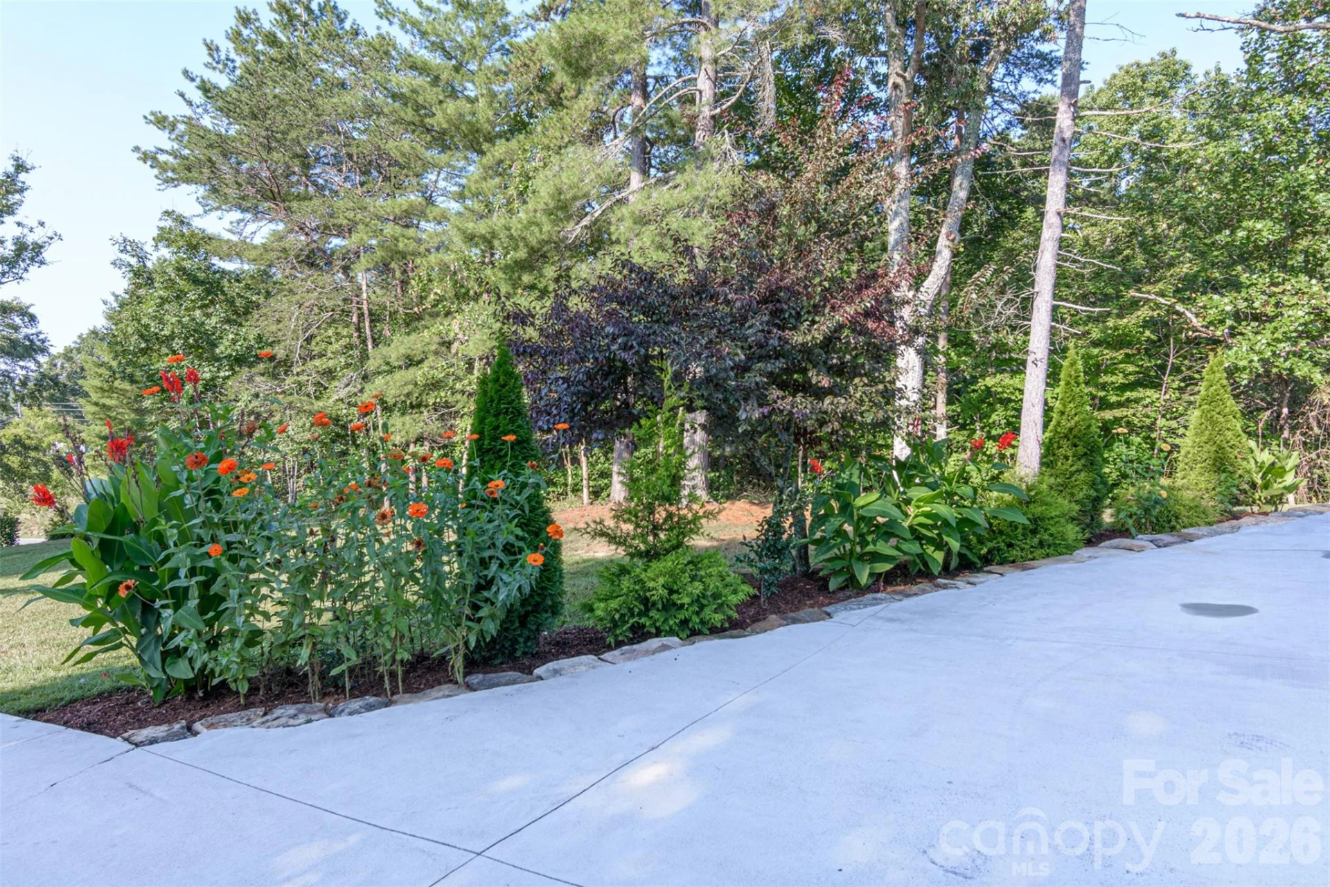 609 Old Mars Hill Highway - Photo 3