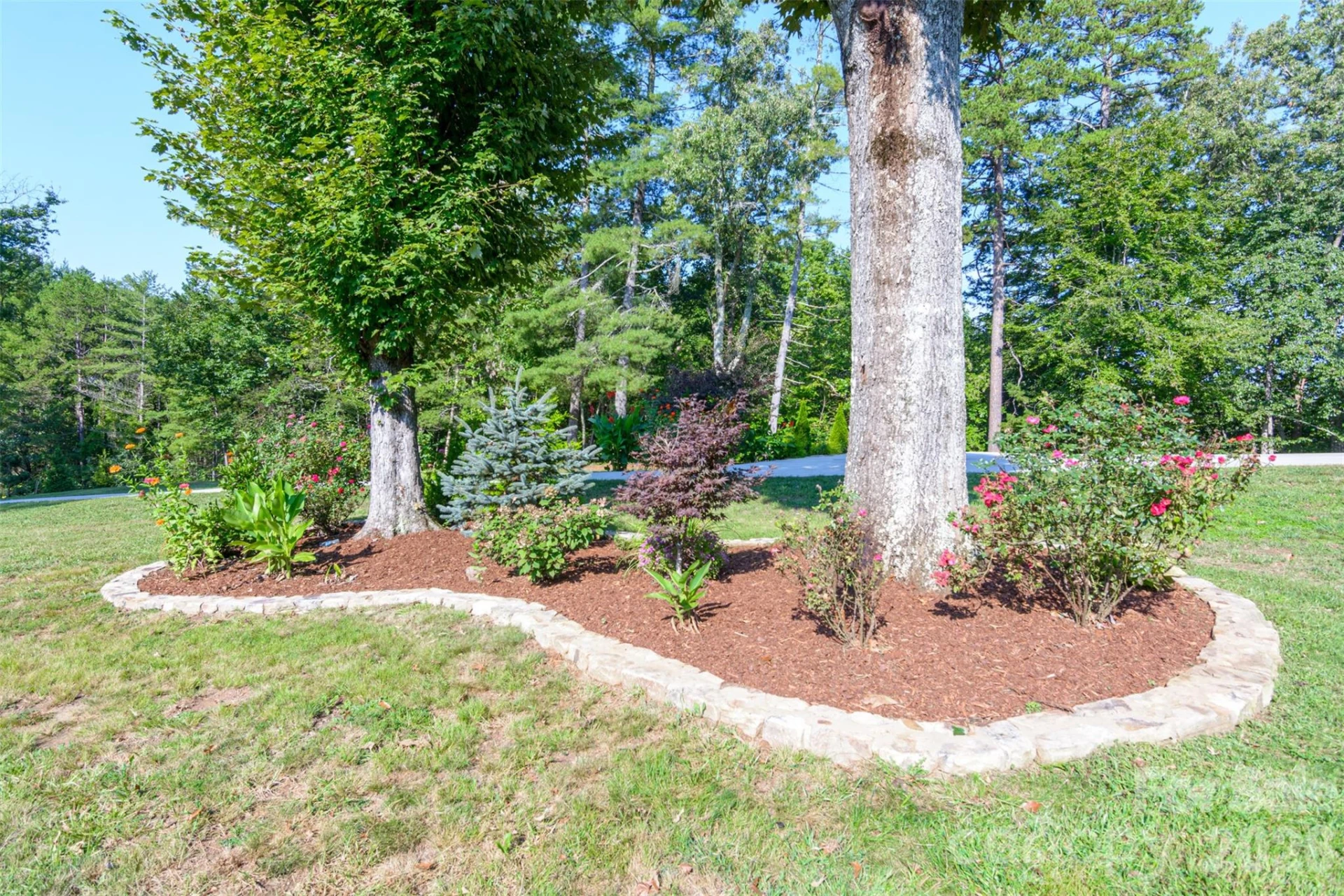 609 Old Mars Hill Highway - Photo 4