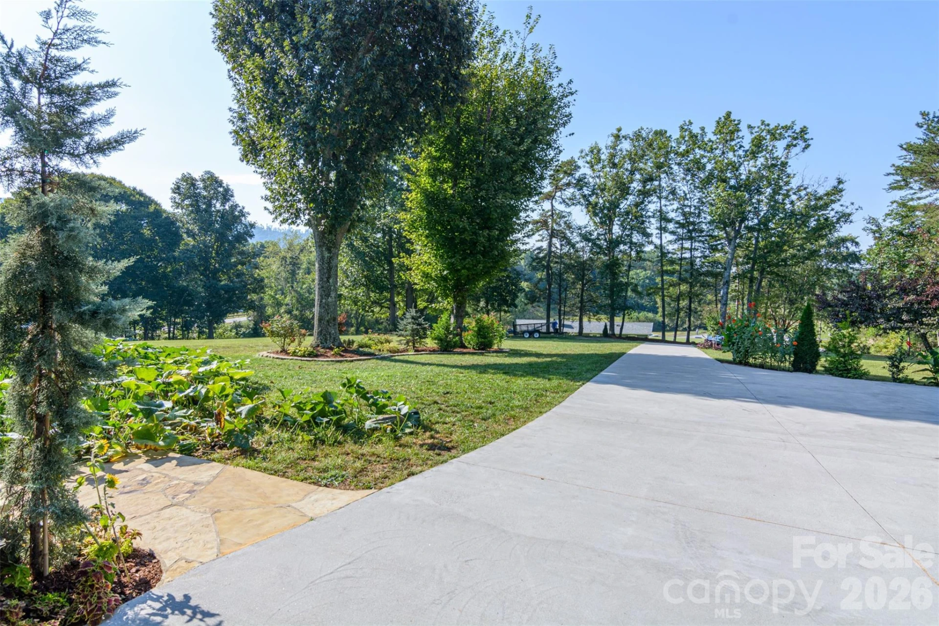 609 Old Mars Hill Highway - Photo 5